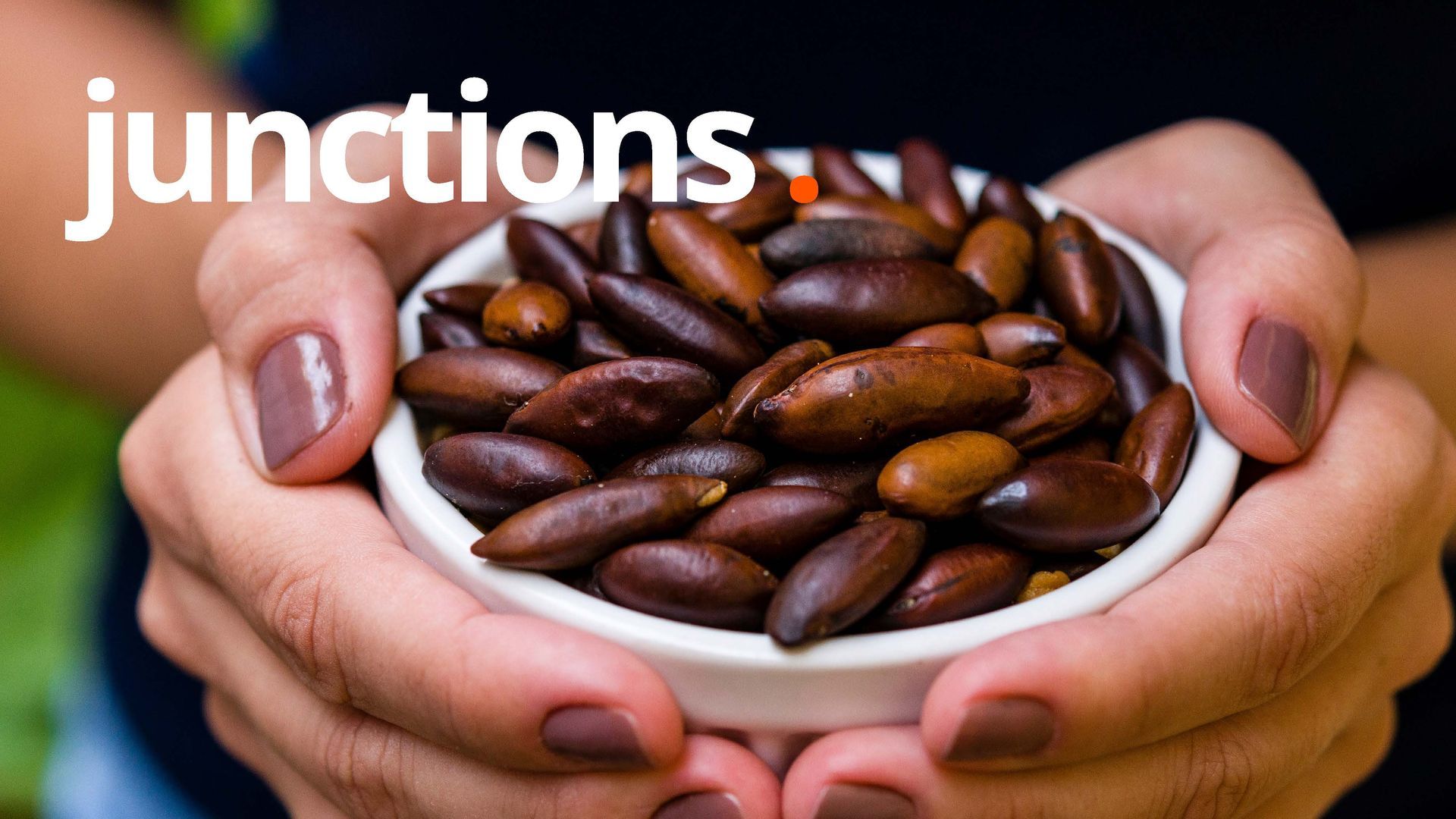Mãos segurando uma pequena tigela branca cheia de sementes marrons e ovais. A palavra