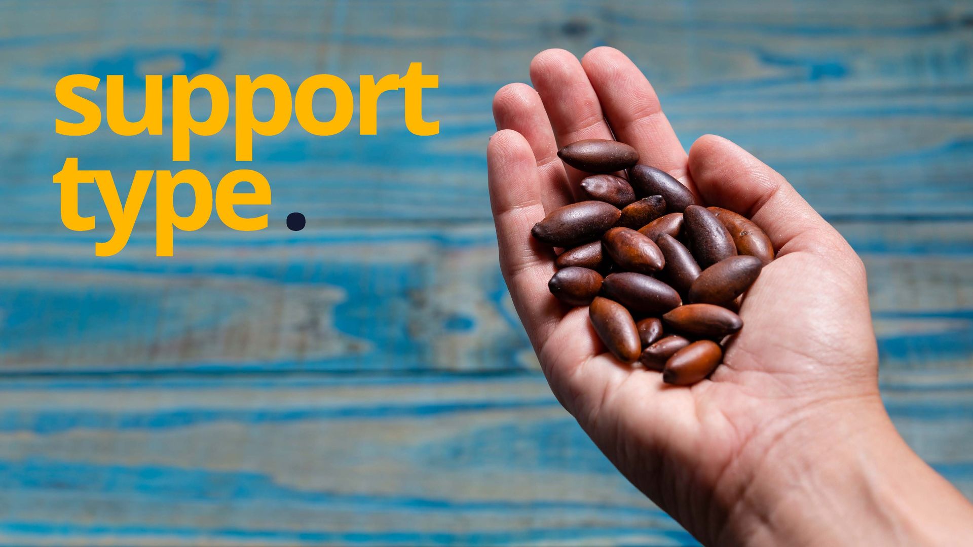 Mão segurando um punhado de sementes marrons, sobre um fundo de madeira azul com texto amarelo que diz