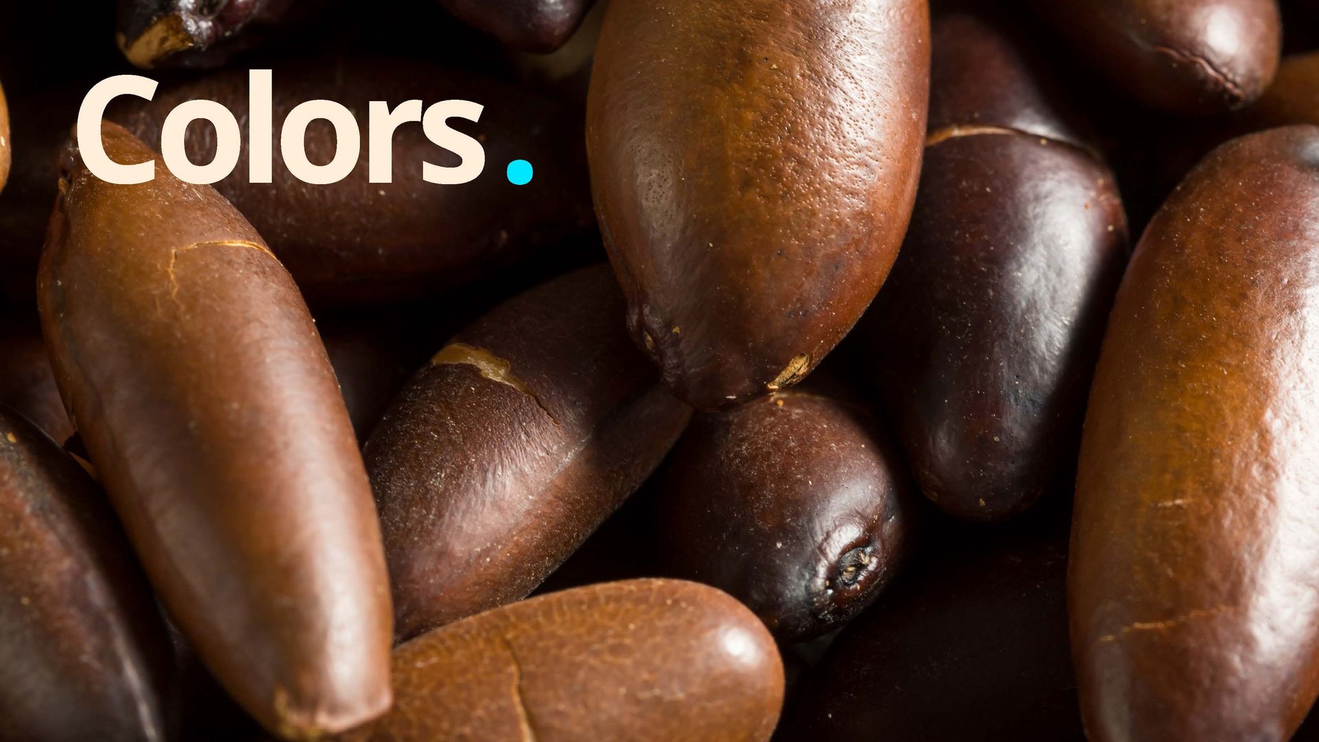 Close de sementes marrons e ovais. A palavra