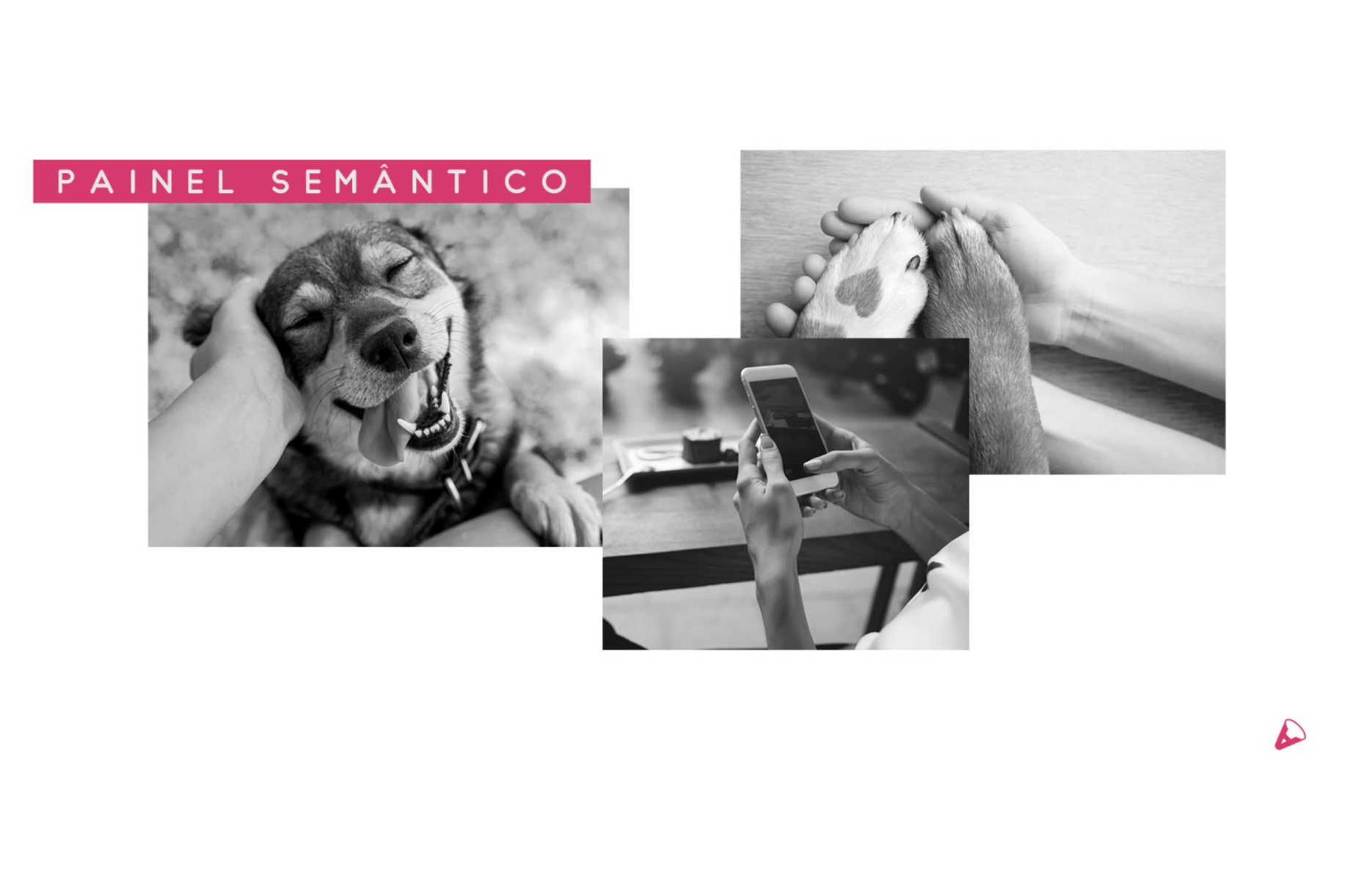 Fotos em preto e branco: um cachorro sorridente sendo acariciado, mãos segurando as patas de um cachorro e mãos usando um celular. Texto: