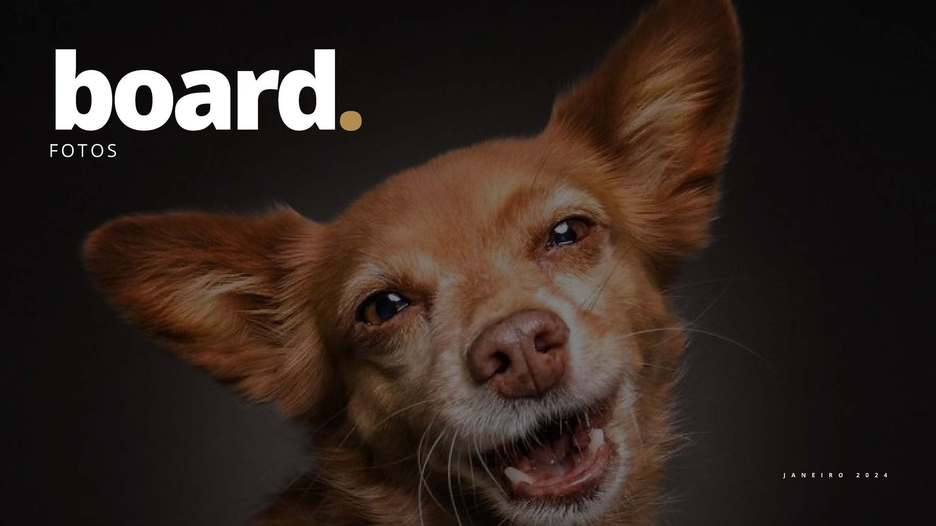 Um cachorro marrom está fazendo uma careta engraçada com a boca aberta.