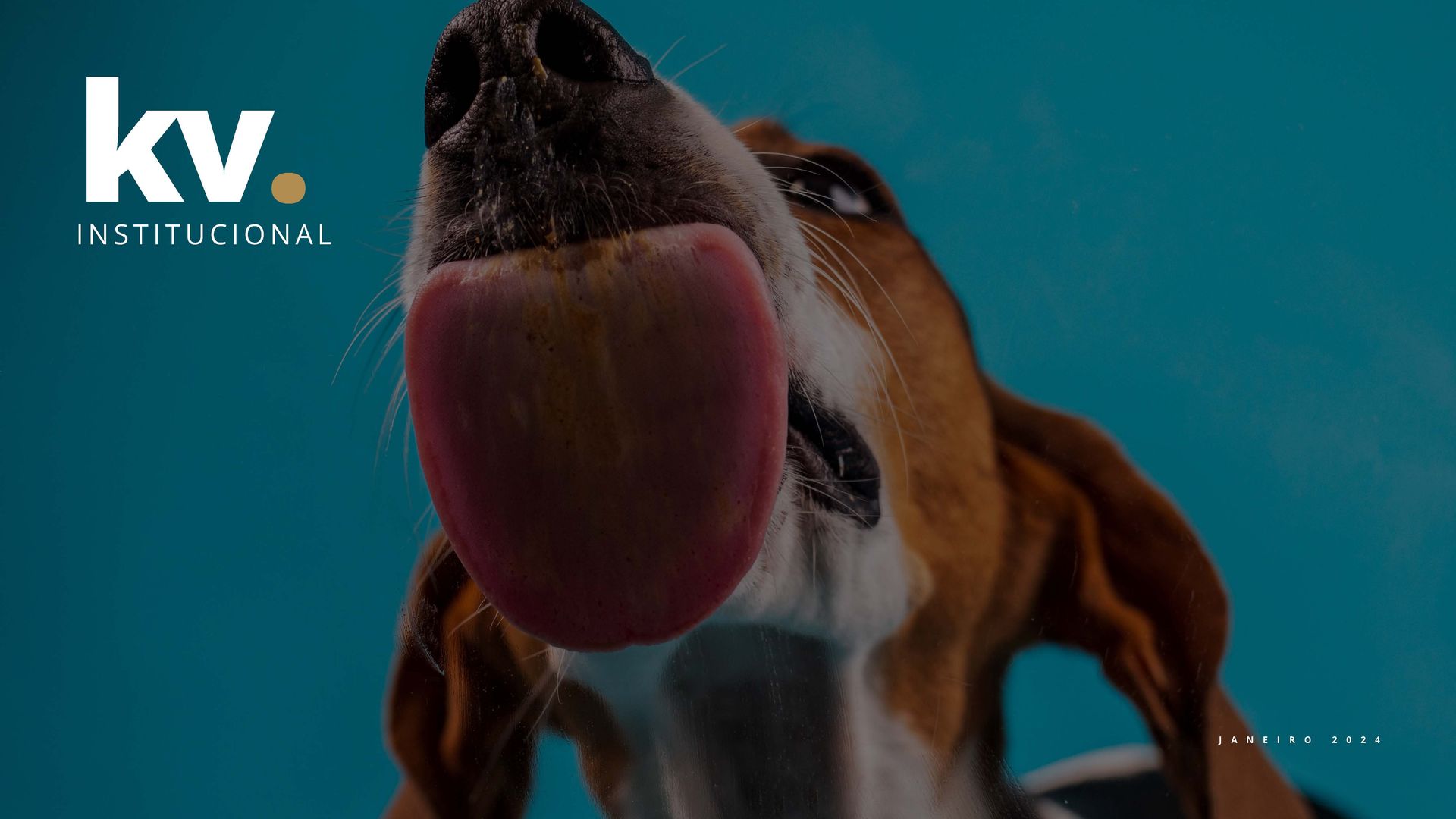 Um cachorro colocando a língua para fora na frente de um logotipo da KV