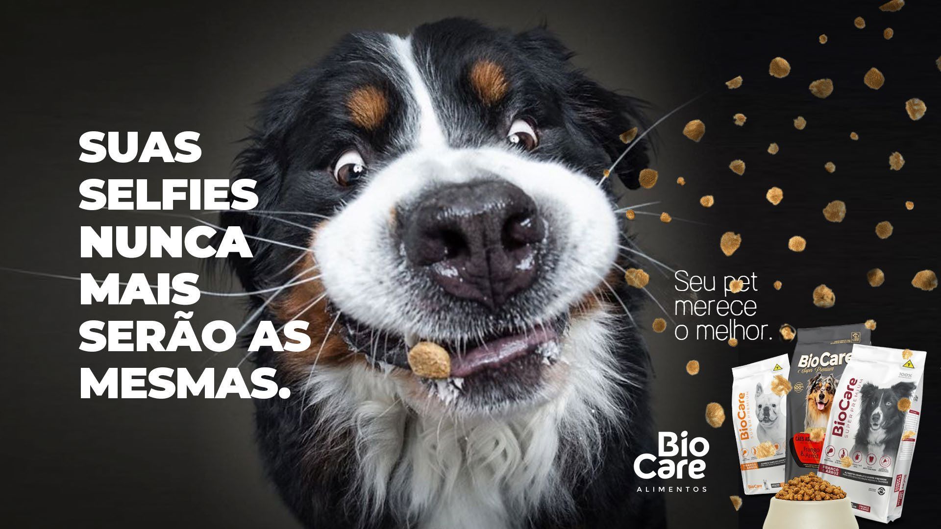 Um cachorro está tirando uma selfie com um saco de comida na boca.