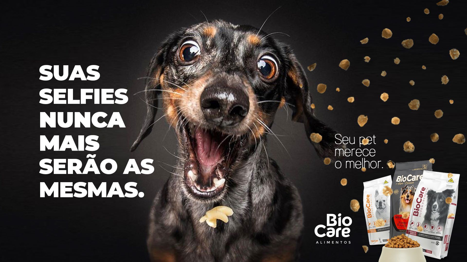 Um dachshund está tirando uma selfie com a boca aberta.