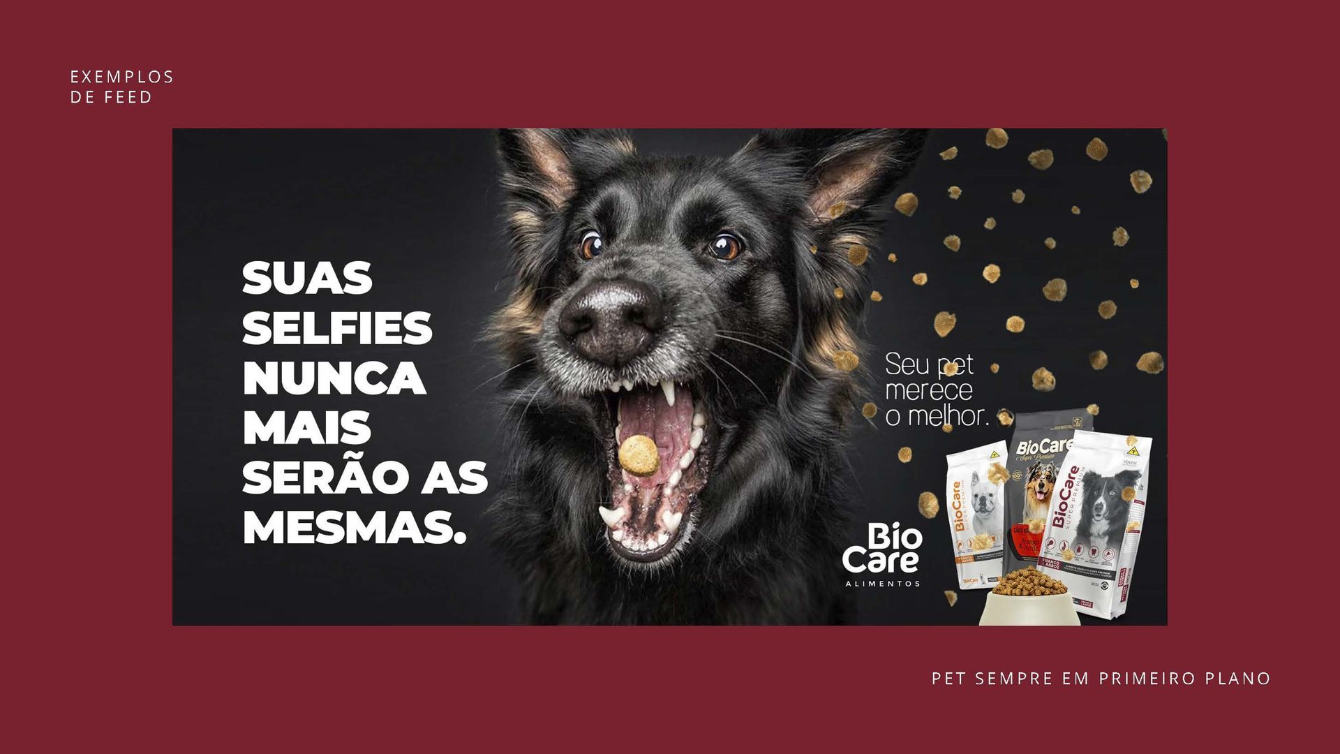 Um cachorro preto com a boca aberta está segurando um pedaço de comida na boca.