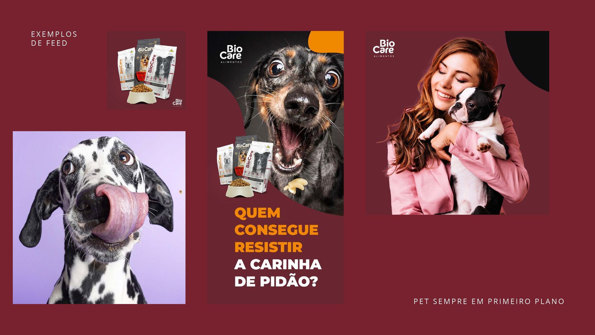 Uma mulher está segurando um cachorro dálmata em seus braços.