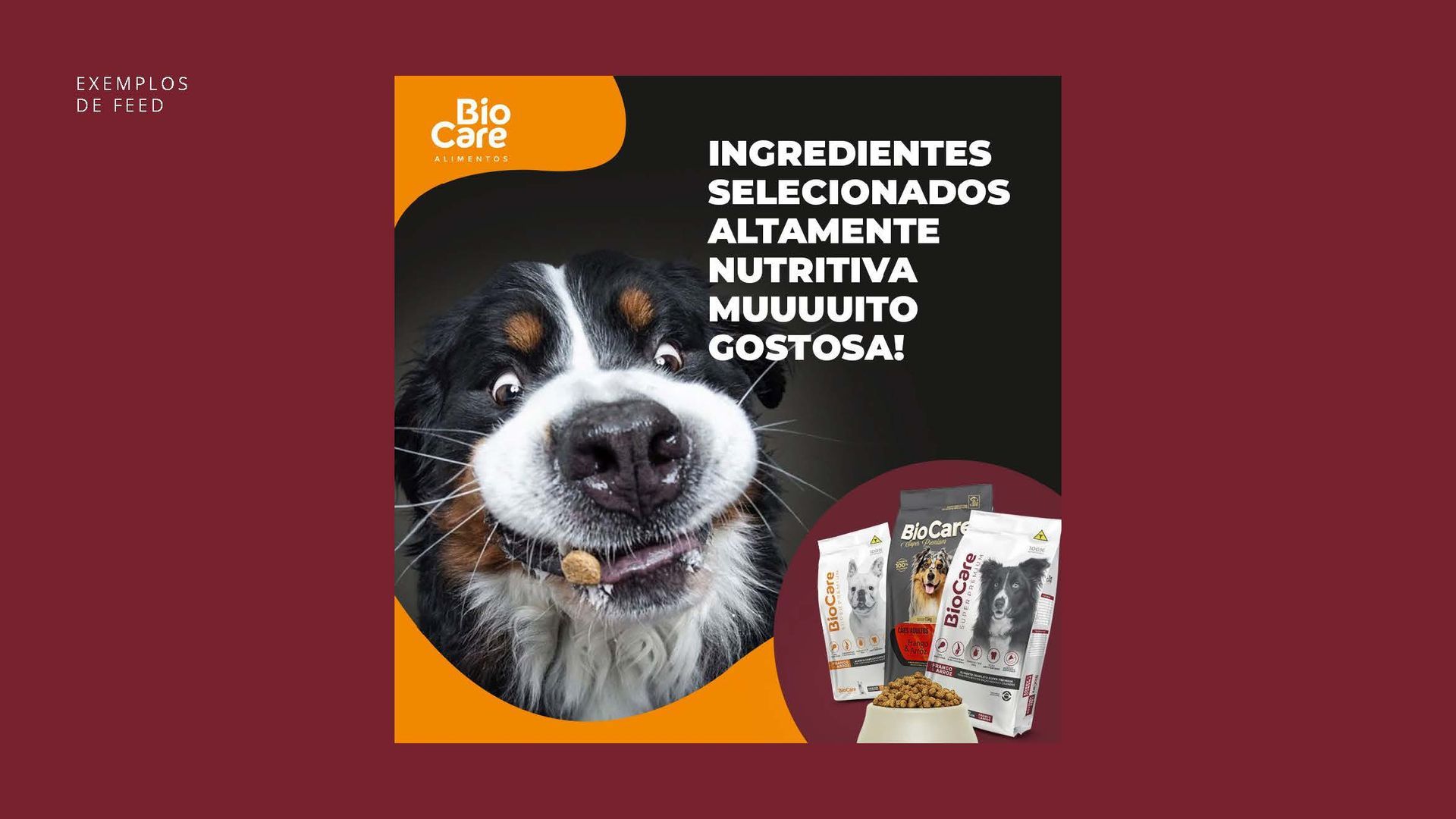 Uma foto de um cachorro comendo um petisco ao lado de um saco de ração.