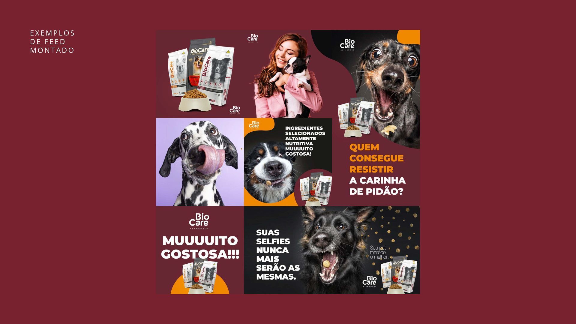 Uma mulher está falando ao celular ao lado de um cachorro.