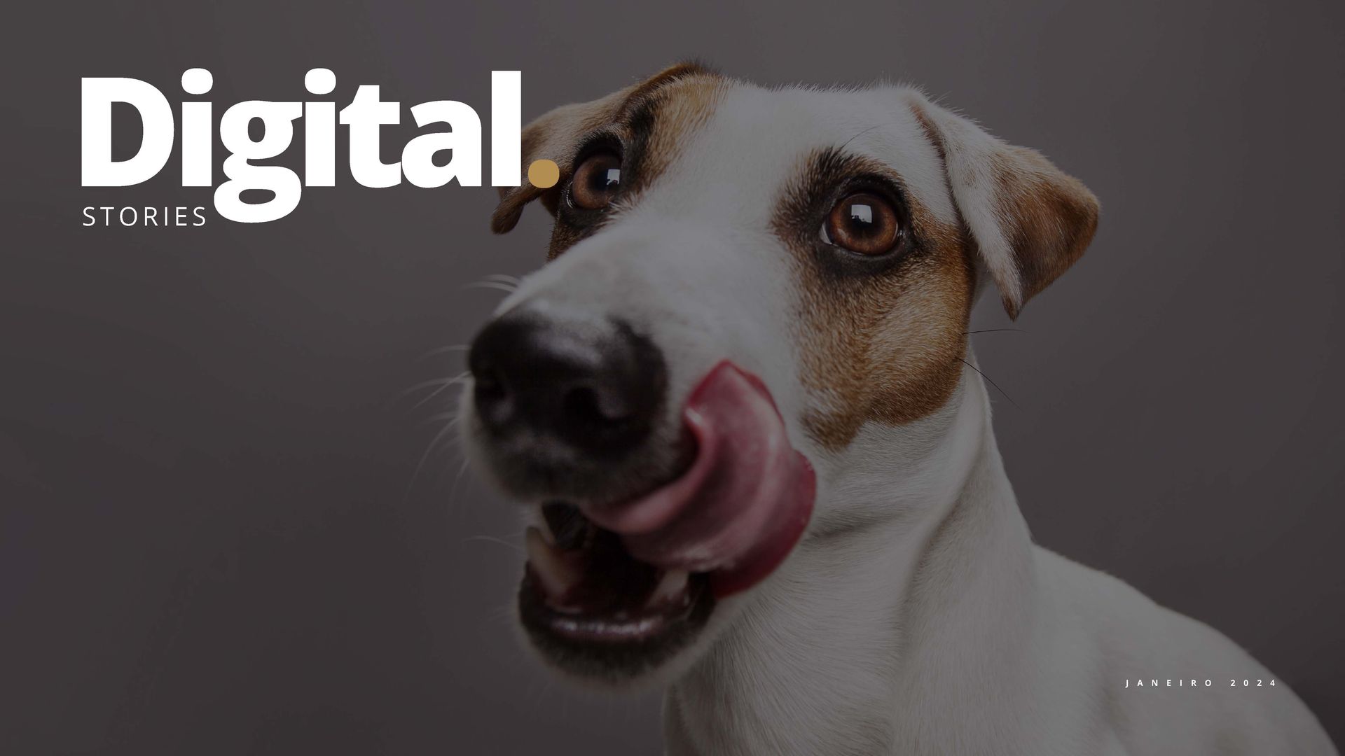 Um cachorro com a língua de fora está na capa de histórias digitais