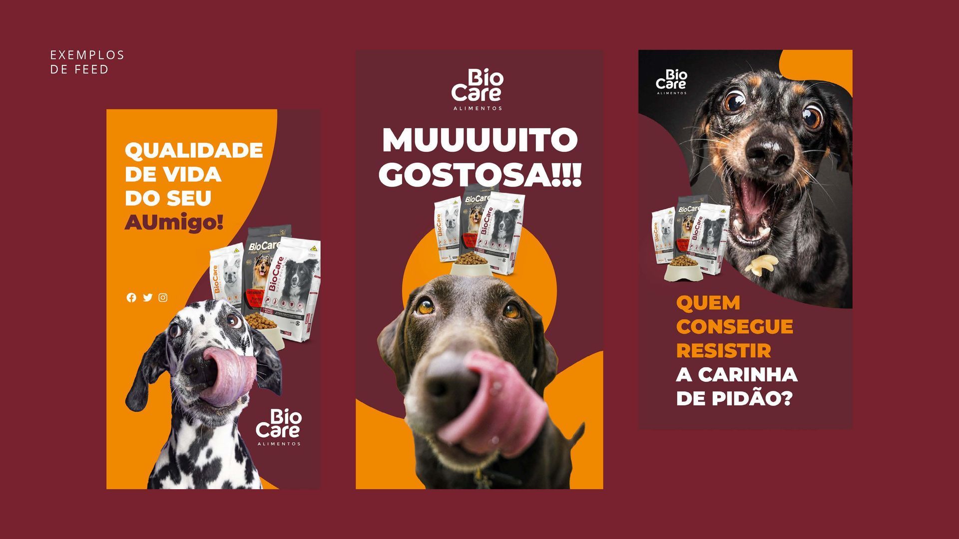 Um cão dálmata está lambendo o nariz em um fundo vermelho.