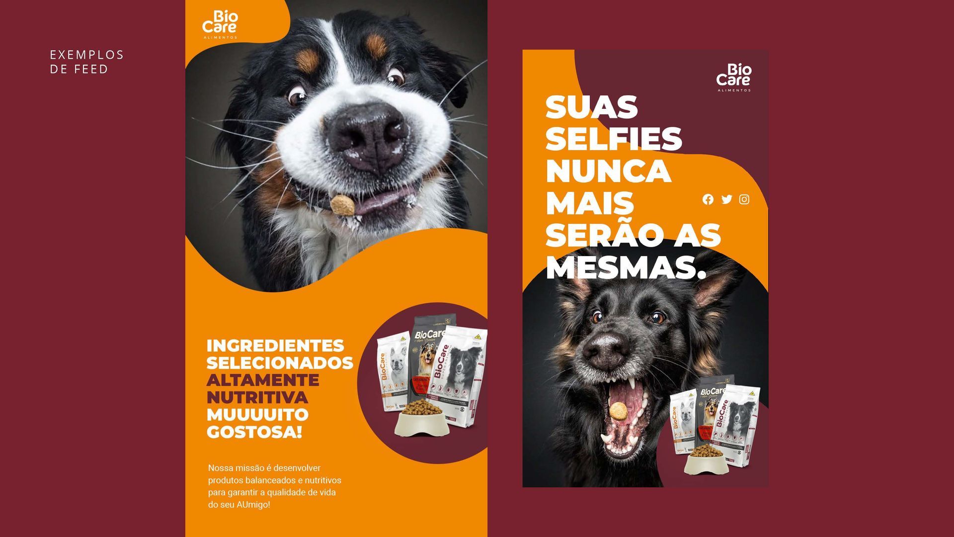 A poster with a picture of a dog and the words `` suas selfies nunca mais serão as mesmas ''.