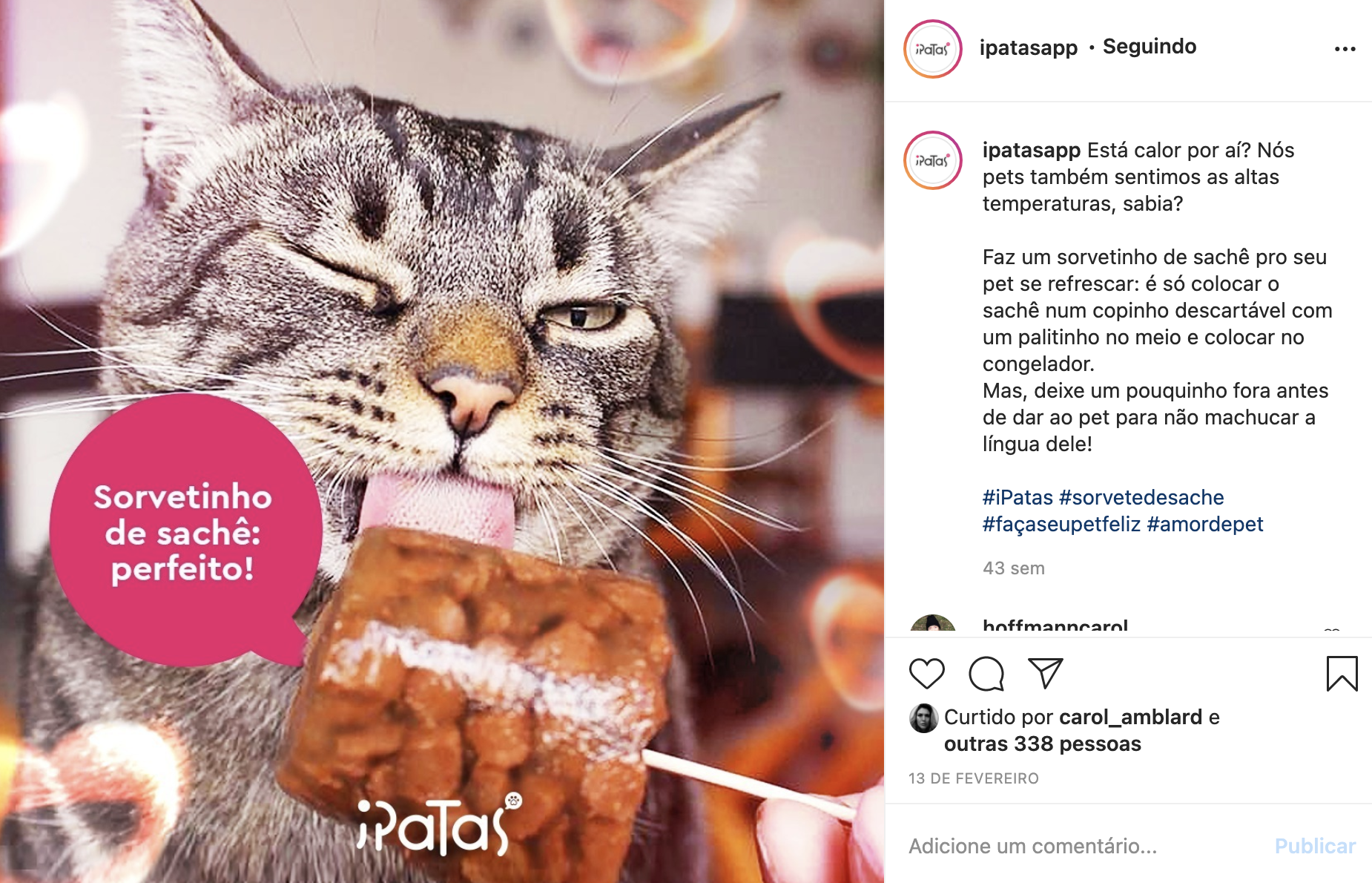 Cat licking a popsicle with the text “Sorvetinho de açaí: perfeito!” (perfect açaí popsicle).