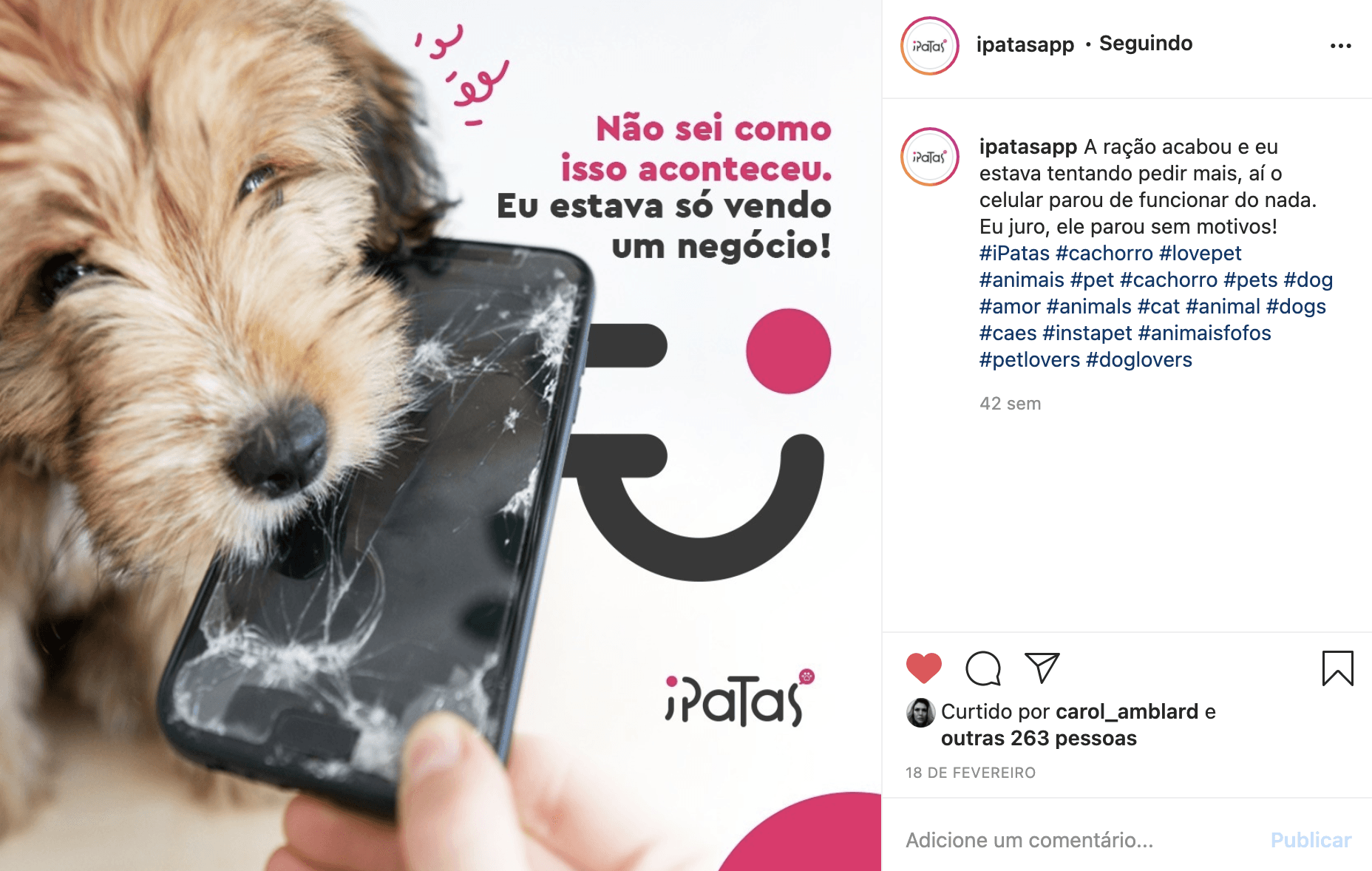 Cachorro segurando um telefone quebrado, com o texto