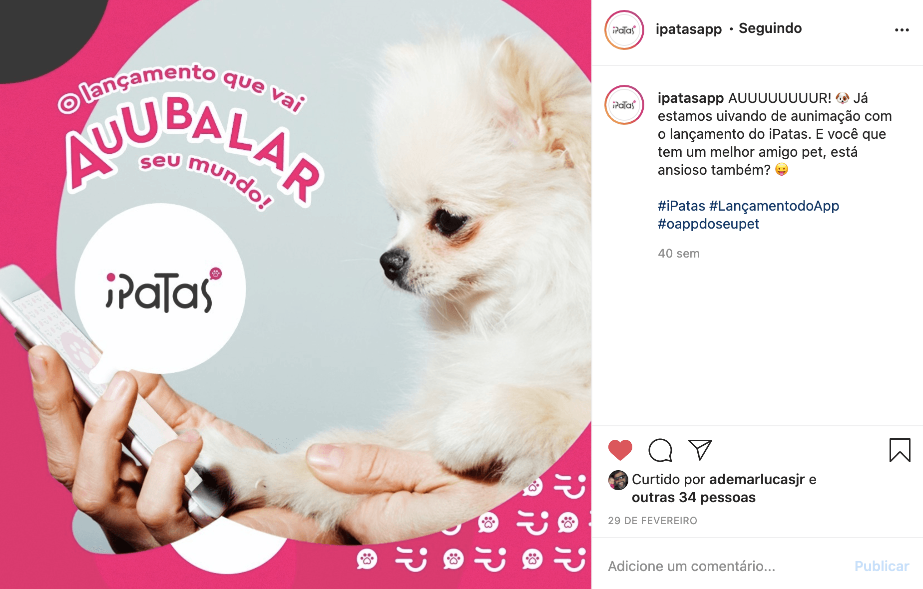 Um cãozinho branco e peludo olha para um celular na mão de uma pessoa. A publicação é um anúncio da iPatas, com detalhes em rosa e o slogan
