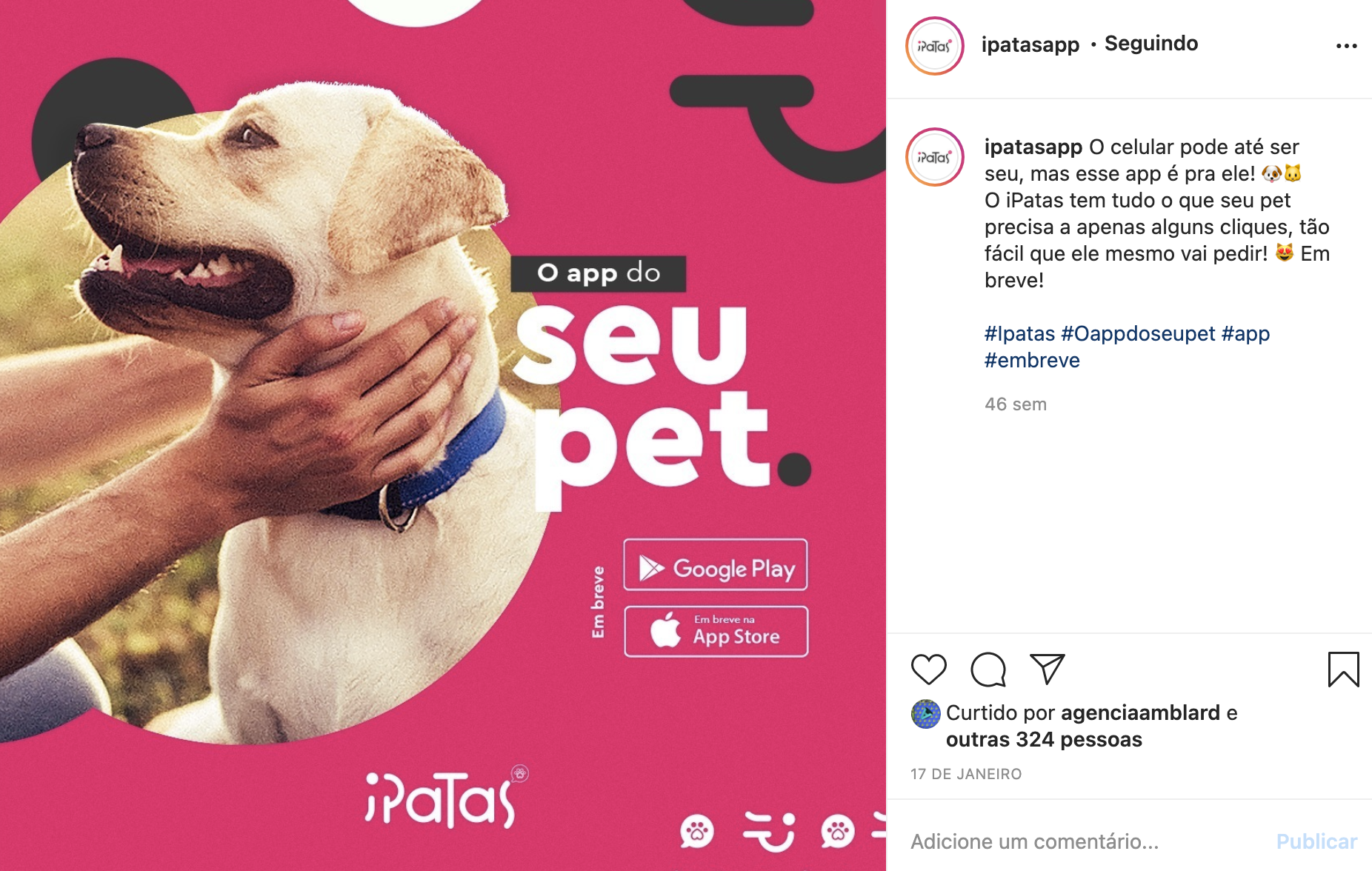 Um labrador amarelo recebendo um carinho no pescoço em um fundo rosa, promovendo o aplicativo