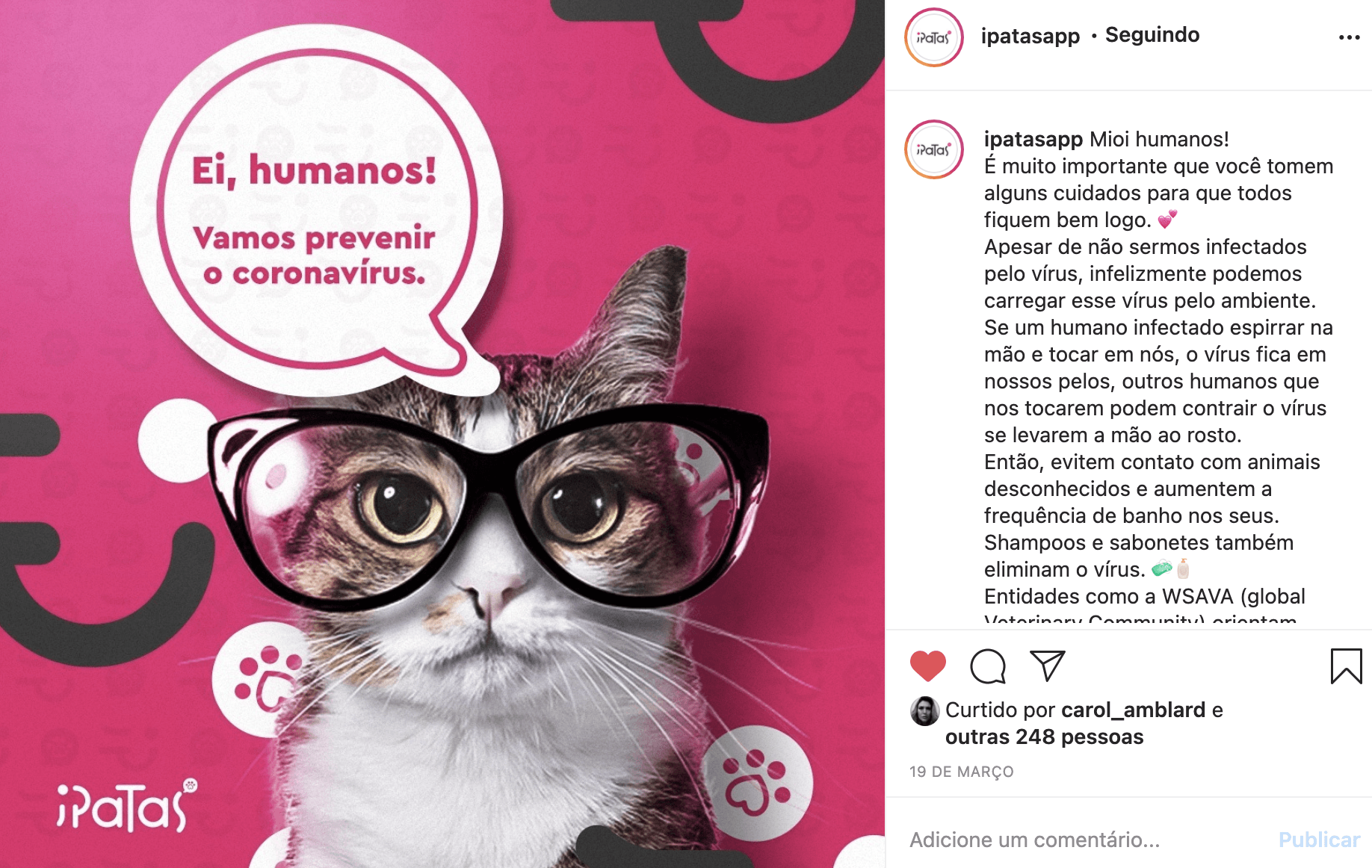 Gato de óculos, com um balão de fala dizendo