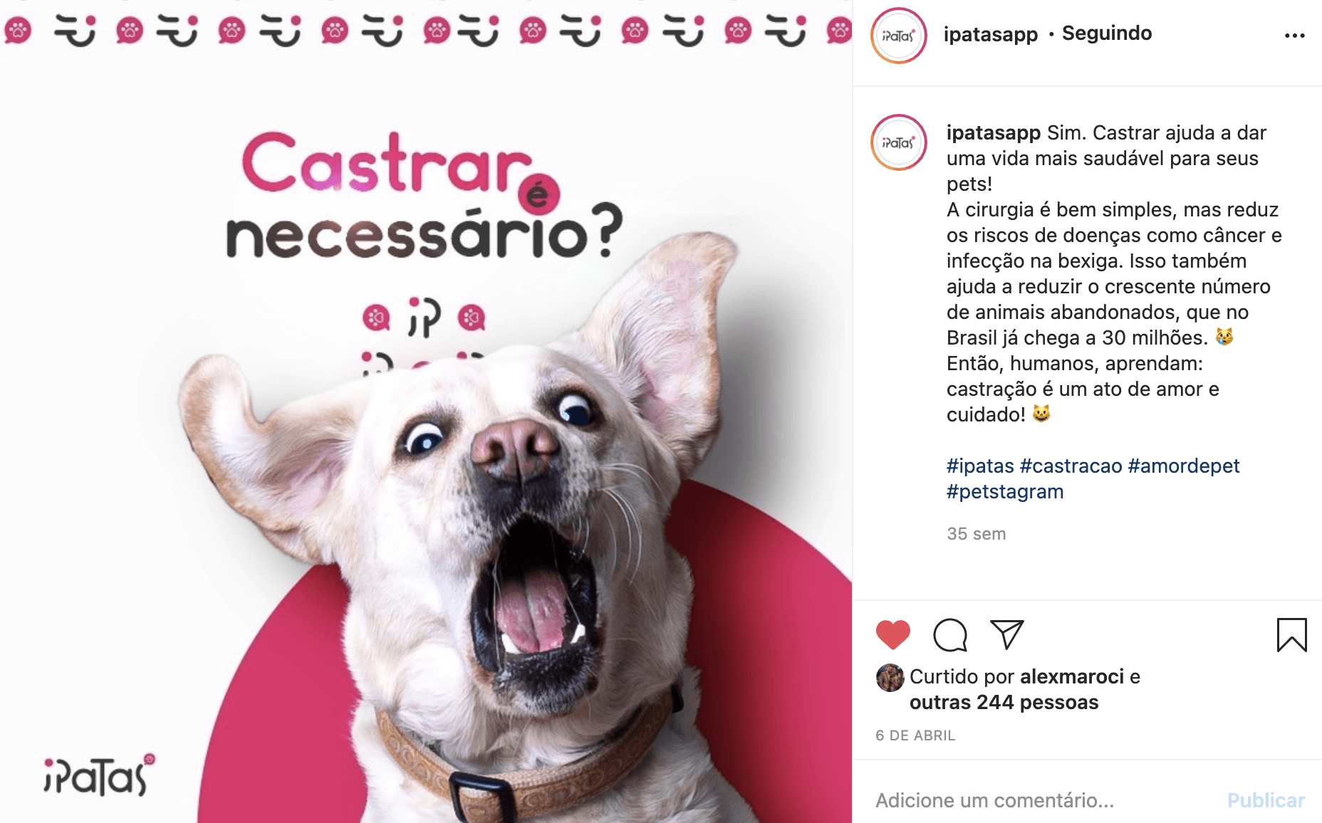 Um cachorro com uma expressão de surpresa ao lado do texto