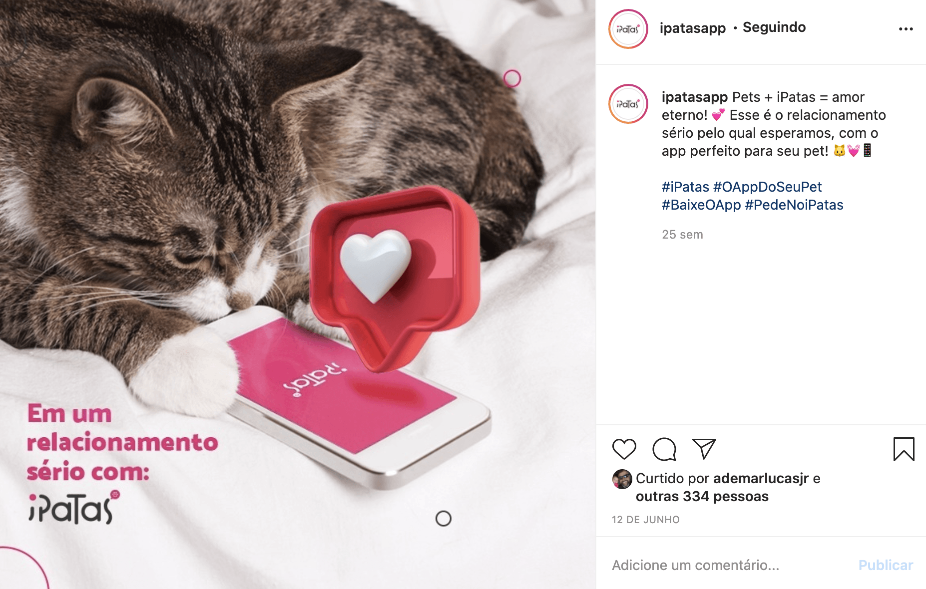 Gato dormindo ao lado de um celular rosa com um botão em formato de coração. Texto no celular:
