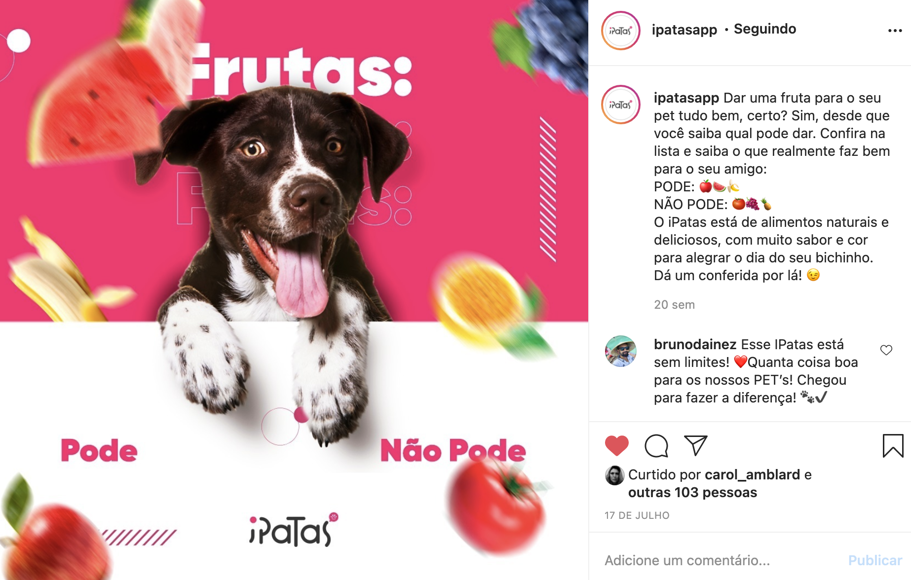 Cachorro com a língua de fora, cercado por frutas, texto: