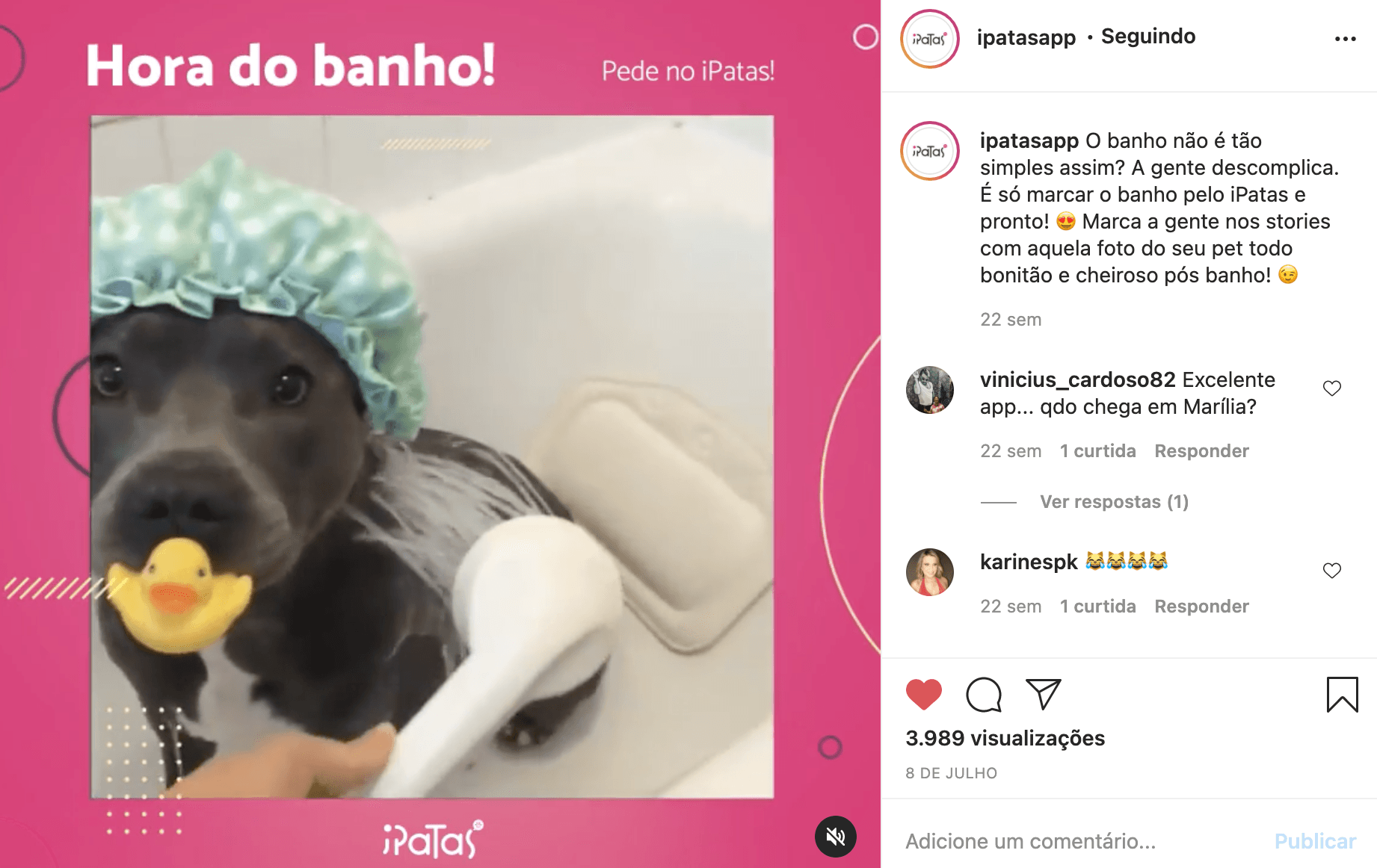 Cachorro com touca de banho e um pato de brinquedo na boca está tomando banho. O texto diz