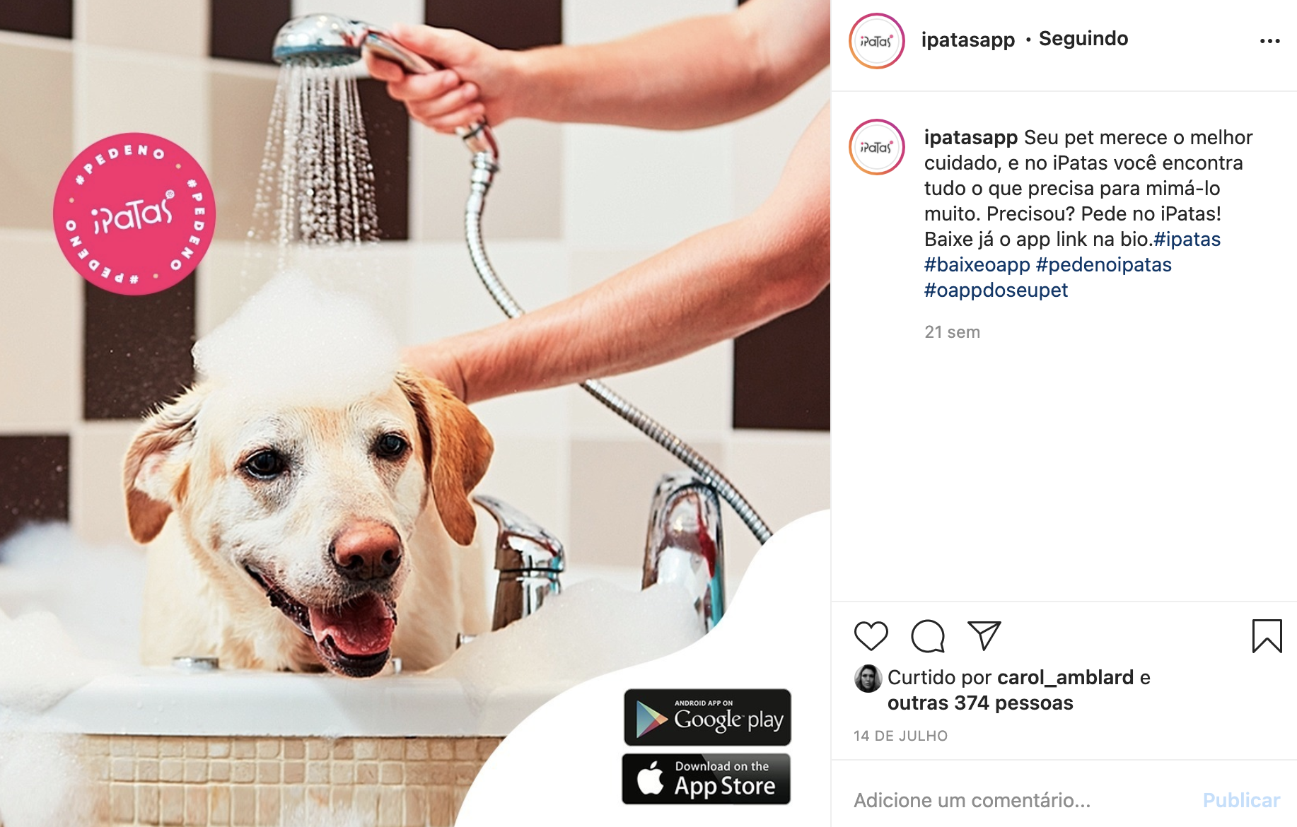 Cachorro sendo lavado em uma banheira, com água e sabão na cabeça e uma pessoa segurando o chuveiro.