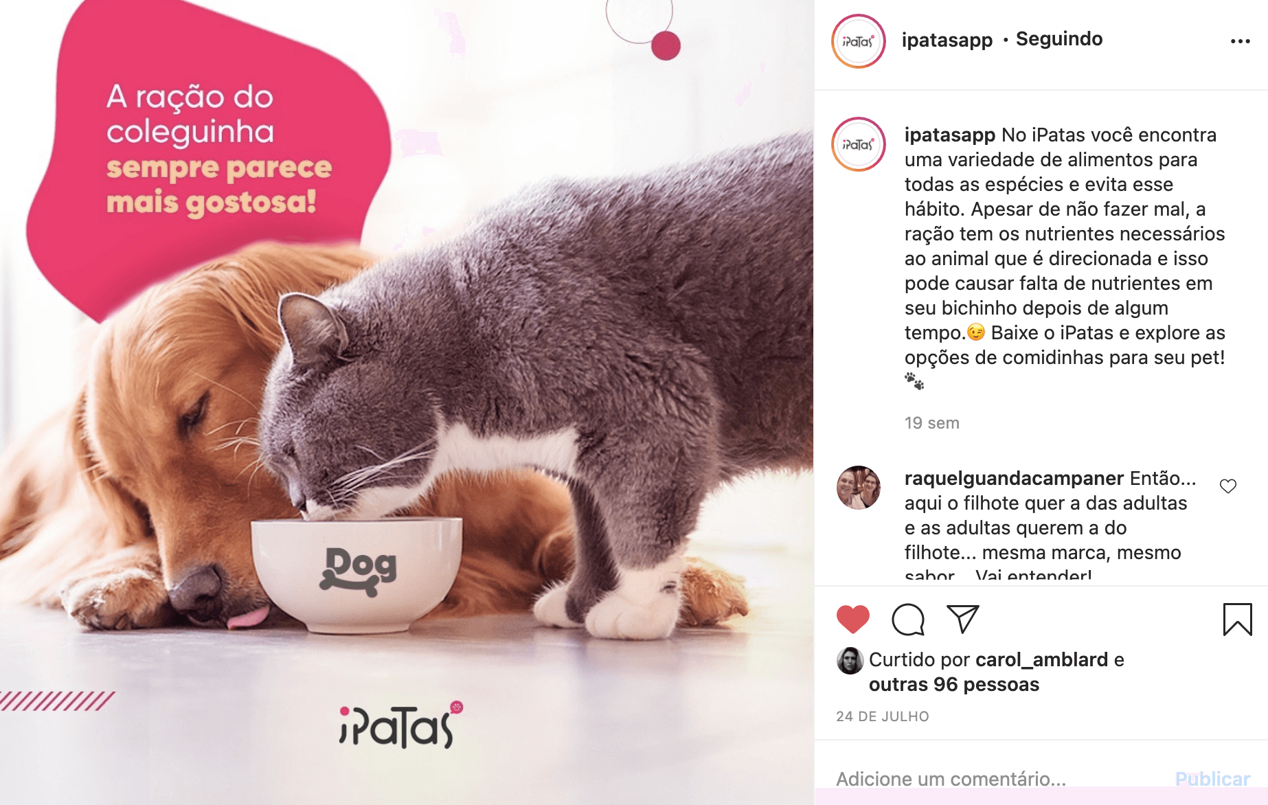 Um golden retriever e um gato cinza compartilhando uma tigela de ração. Texto rosa e branco sobrepõe a imagem.
