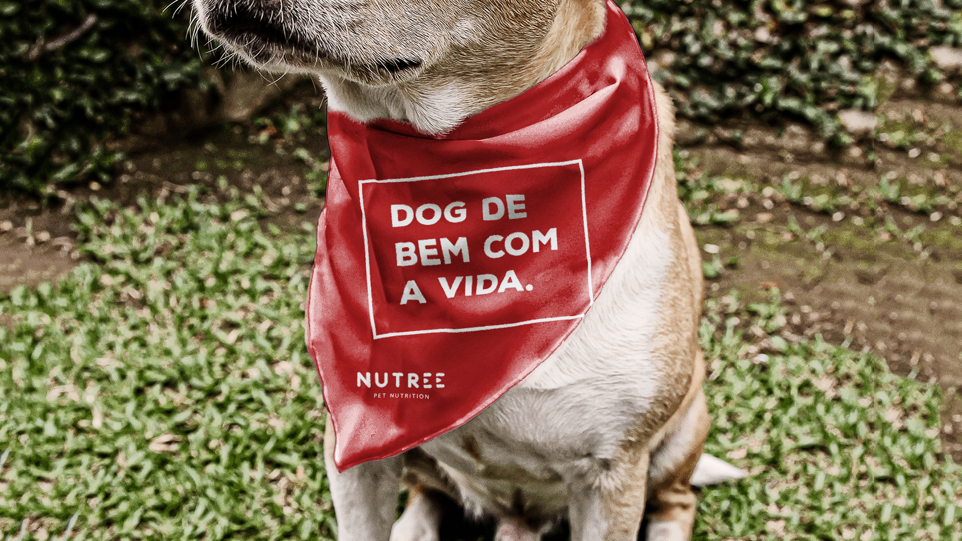 Cachorro usando uma bandana vermelha com texto branco: