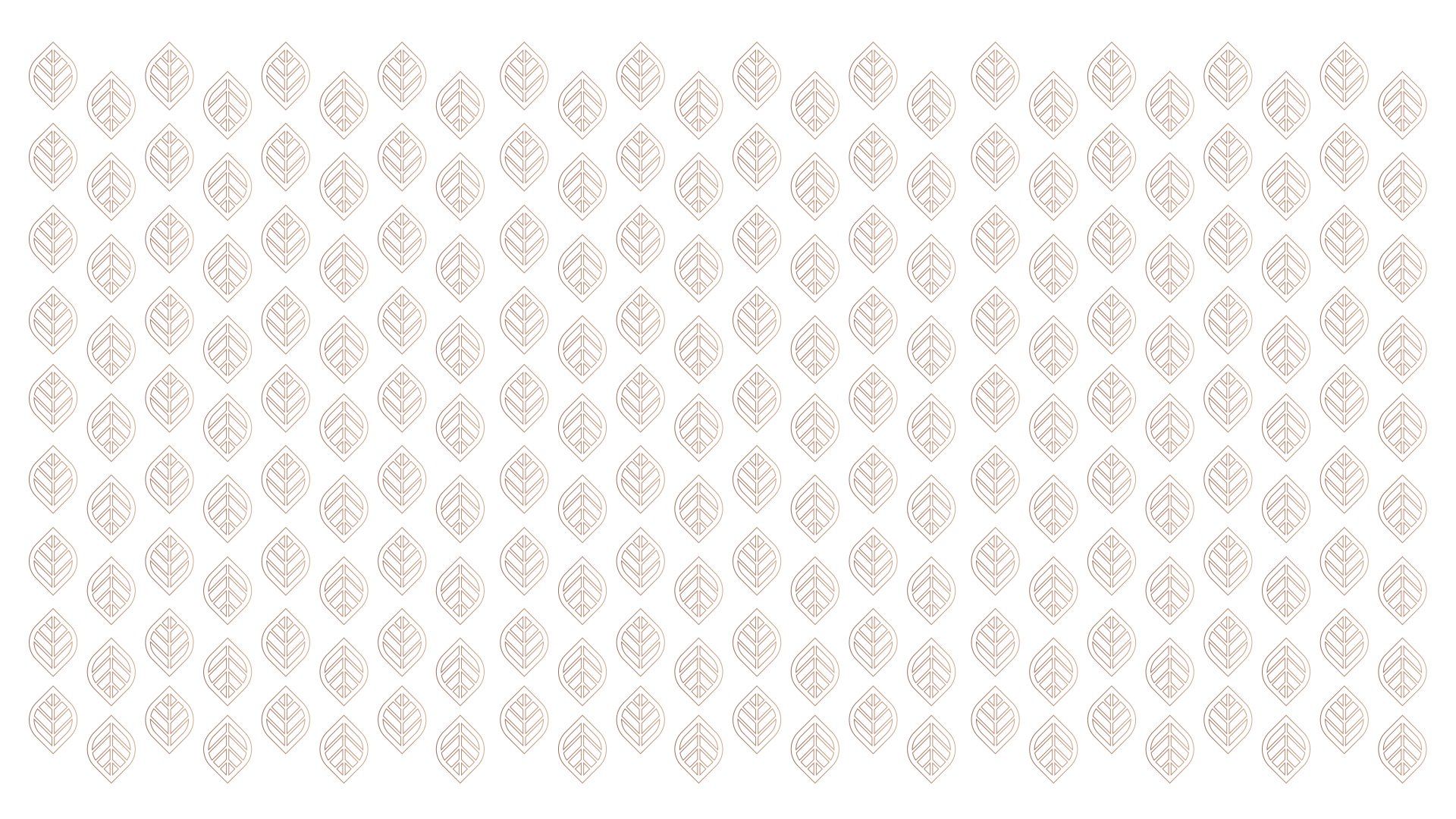 Um padrão uniforme de folhas em um fundo branco