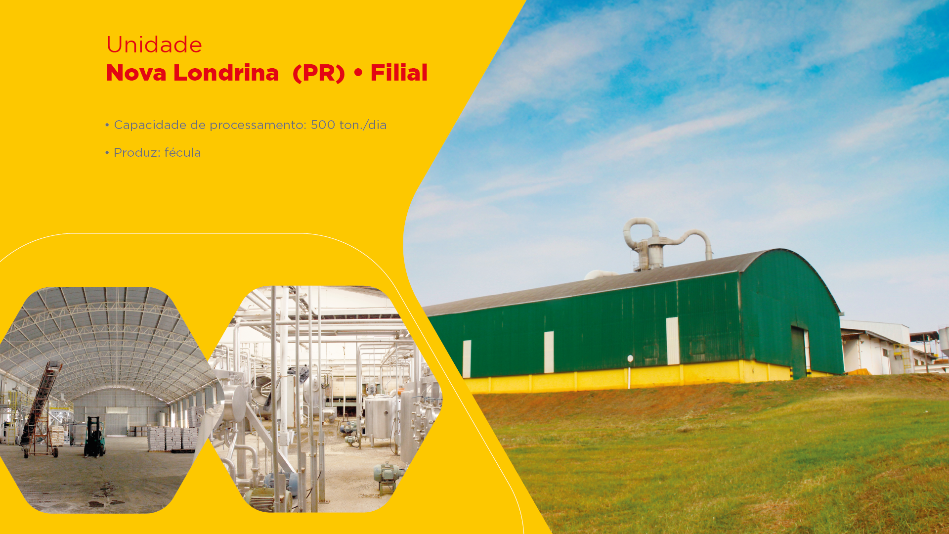 Um prédio verde e amarelo com as palavras nova londrina nele