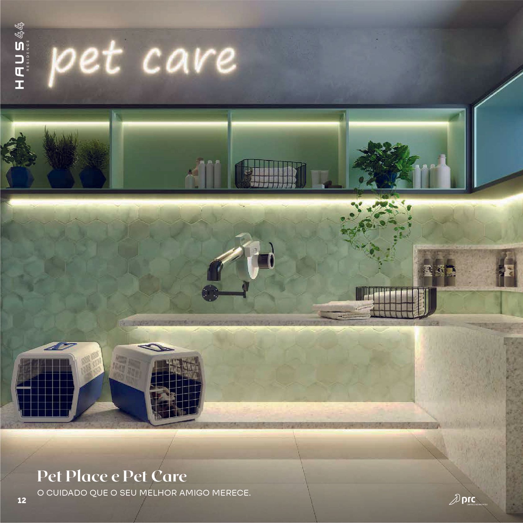 Um espaço moderno para cuidados com animais de estimação, com prateleiras iluminadas em verde, equipamentos de higiene e caixas de transporte para animais de estimação em um balcão de cor clara.