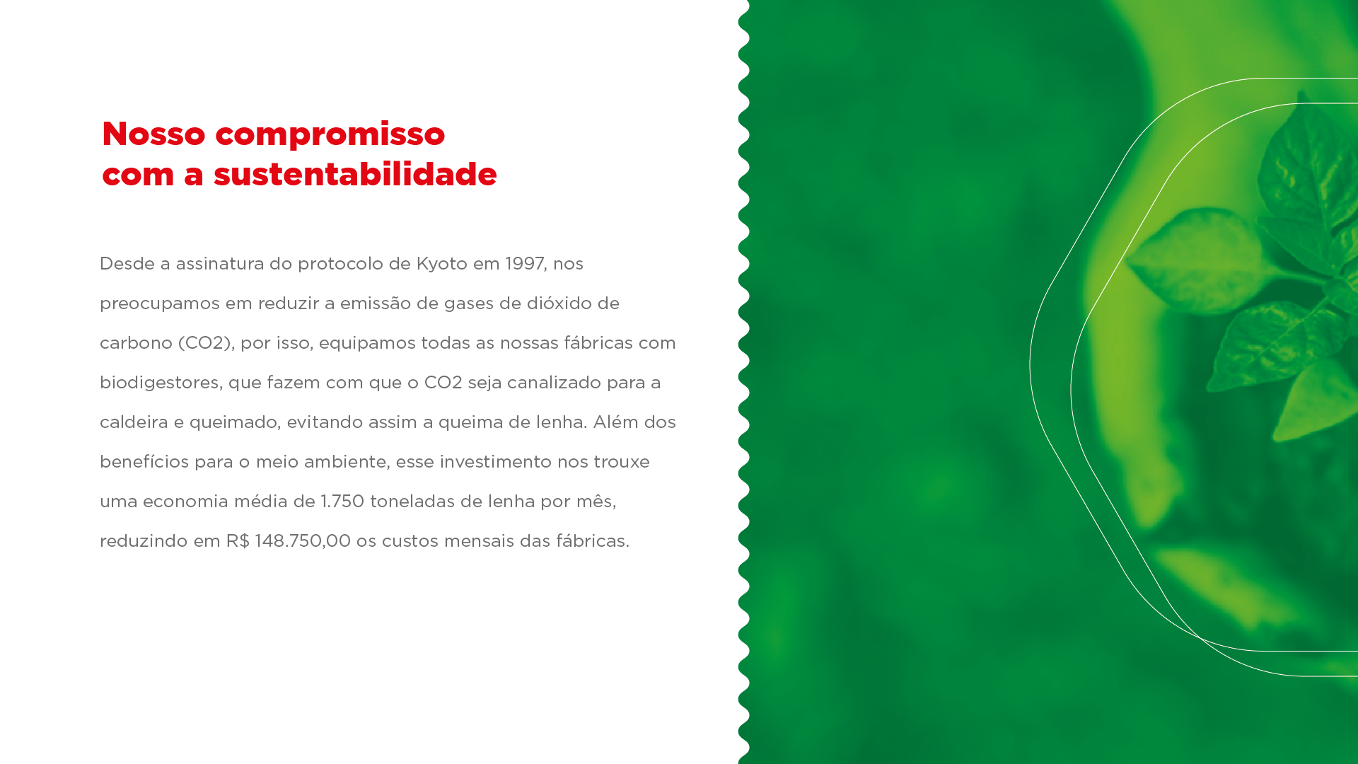 Um fundo verde com uma flor no meio e um carimbo nele.