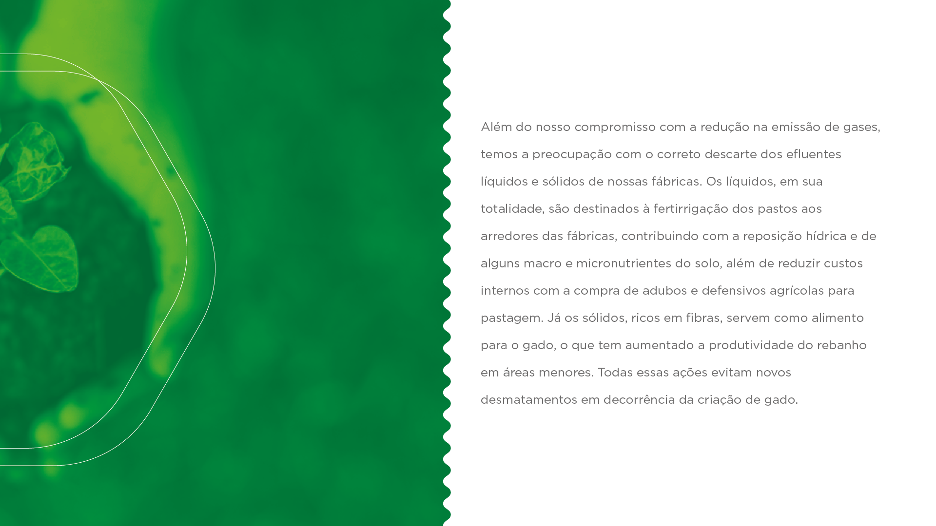 Um fundo verde com uma borda branca e uma folha sobre ele.