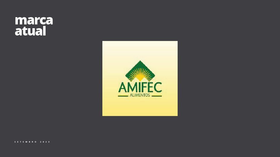 Logotipo da AMIFEC com um símbolo verde semelhante a uma montanha dentro de um quadrado amarelo. Texto