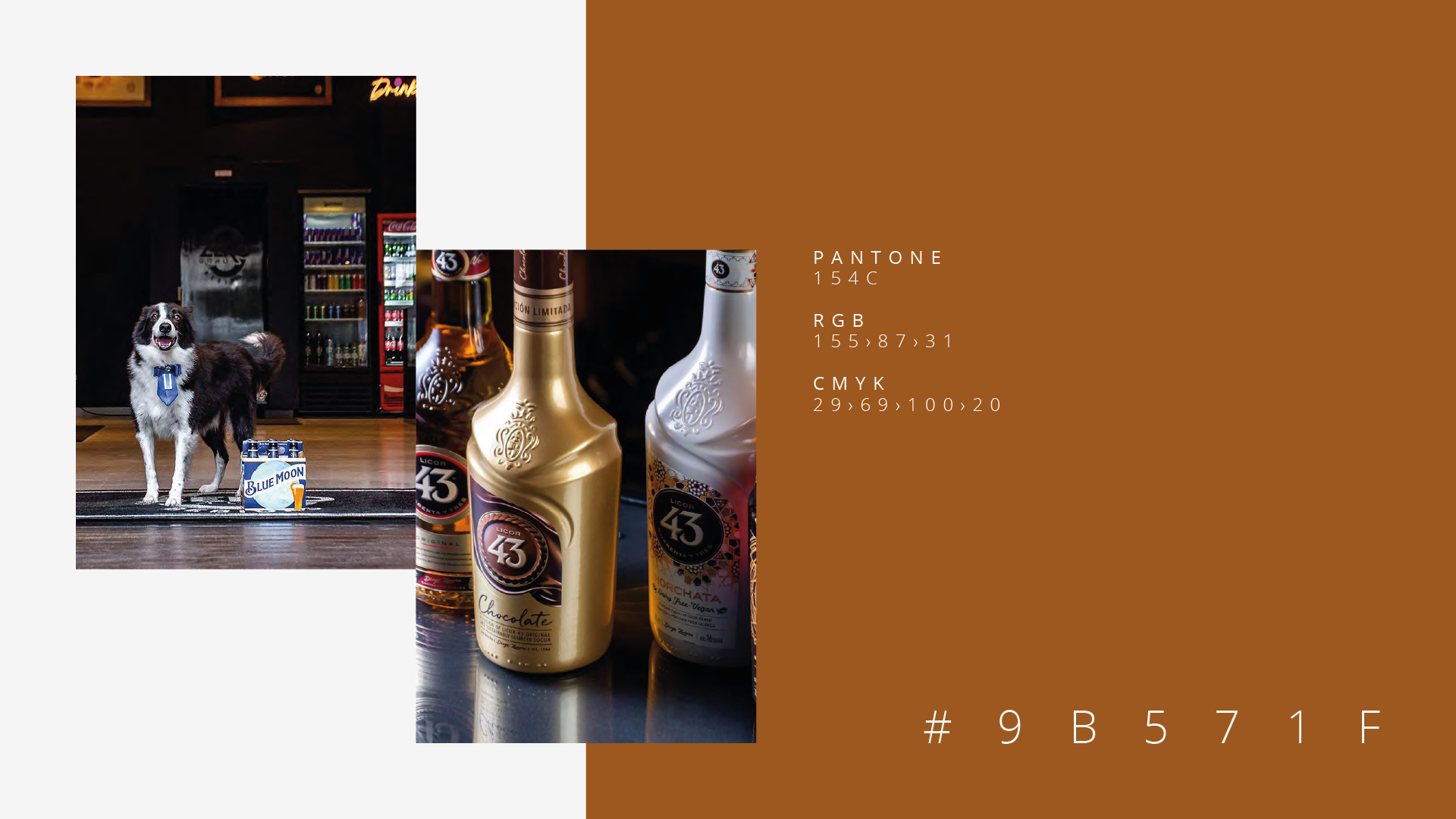 Um cachorro está parado em um bar ao lado de duas garrafas de bebida alcoólica.