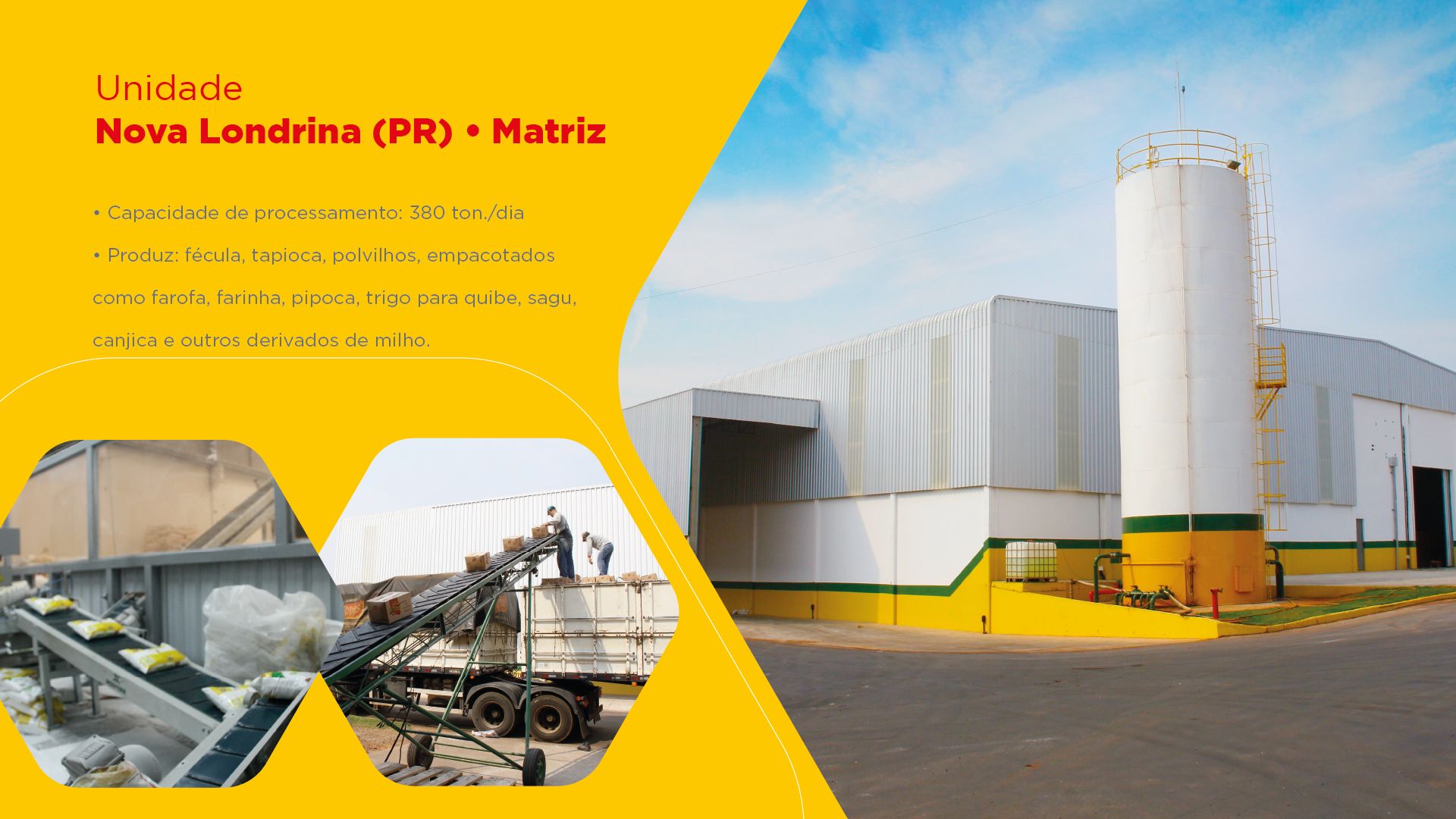 Um grande edifício branco com uma borda amarela e verde é cercado por um círculo amarelo.