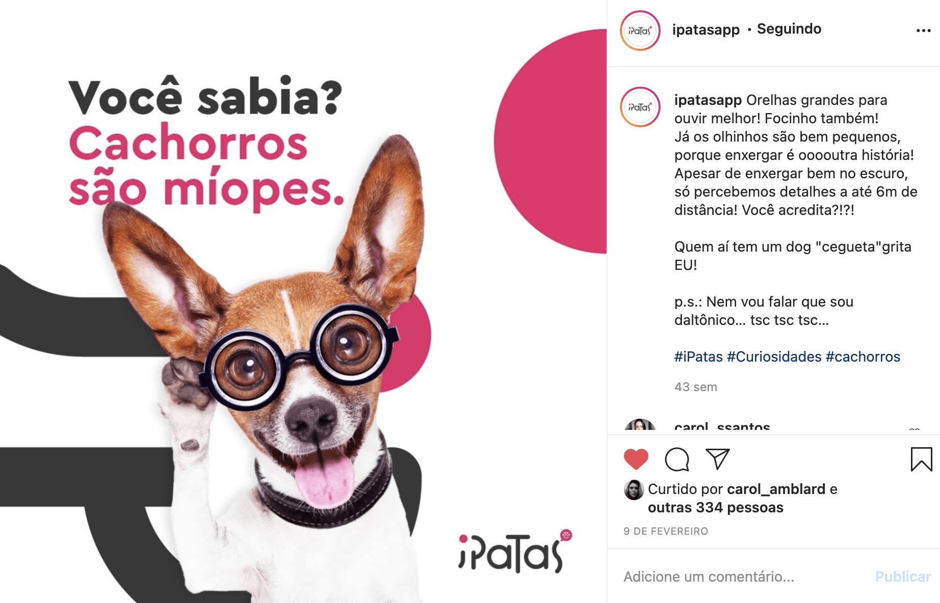 Cachorro usando óculos, com o texto