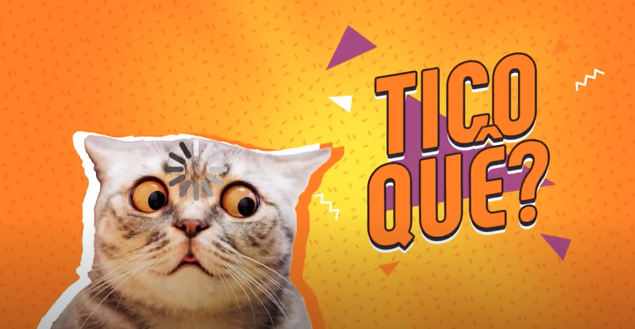 Um gato com cara de surpreso e olhos grandes em um fundo laranja. O texto diz