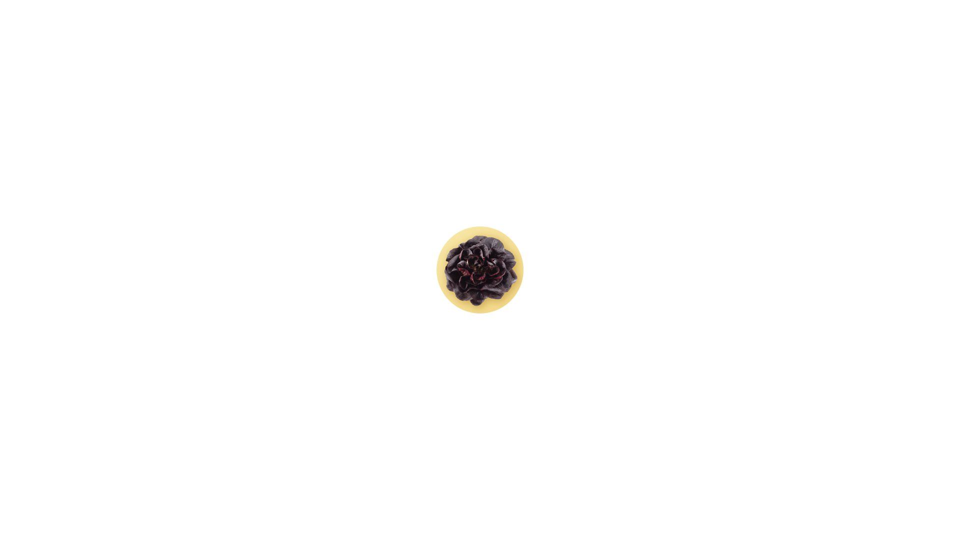 Um biscoito pequeno e circular com recheio escuro centralizado em um fundo branco.