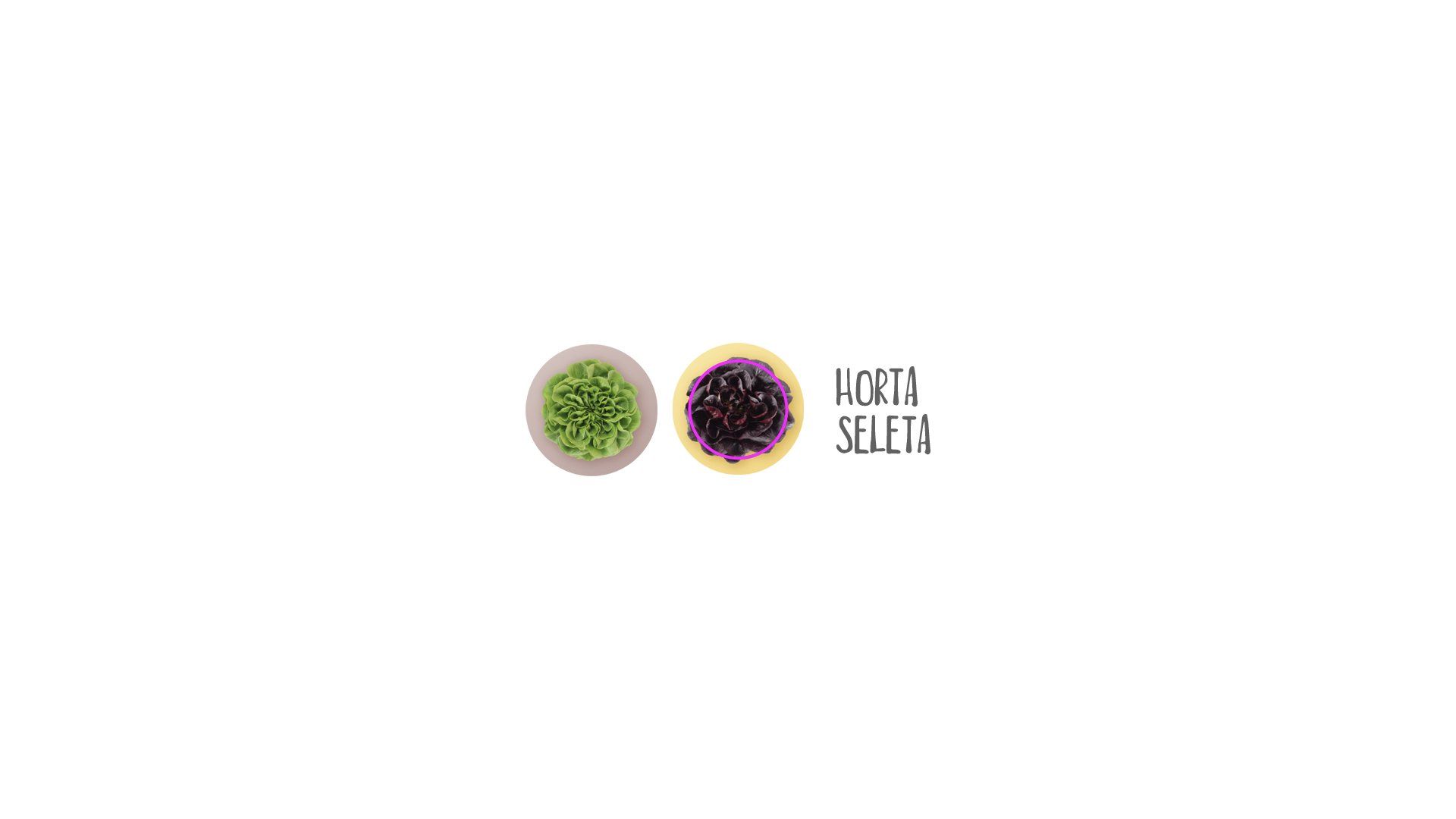 Duas tigelas pequenas, uma com comida verde e a outra com comida roxo escuro; o texto ao lado da tigela roxa diz