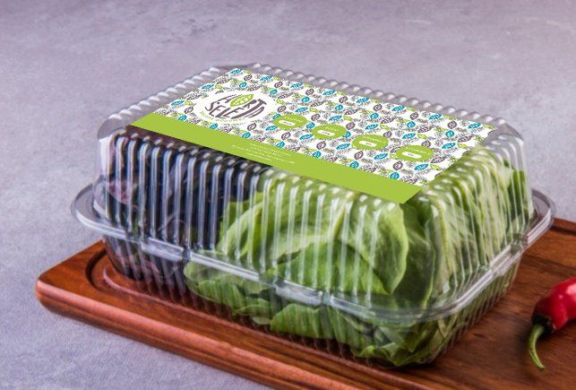 Recipiente de plástico transparente contendo verduras frescas, etiquetado com desenho verde e azul, sobre uma tábua de madeira com um pimentão vermelho.