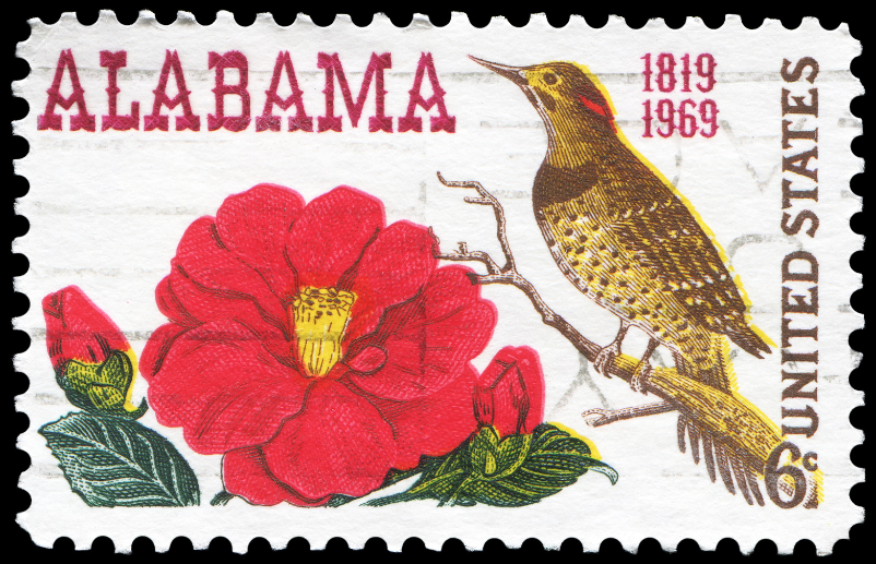 A postage stamp from alabama shows a bird and a flower