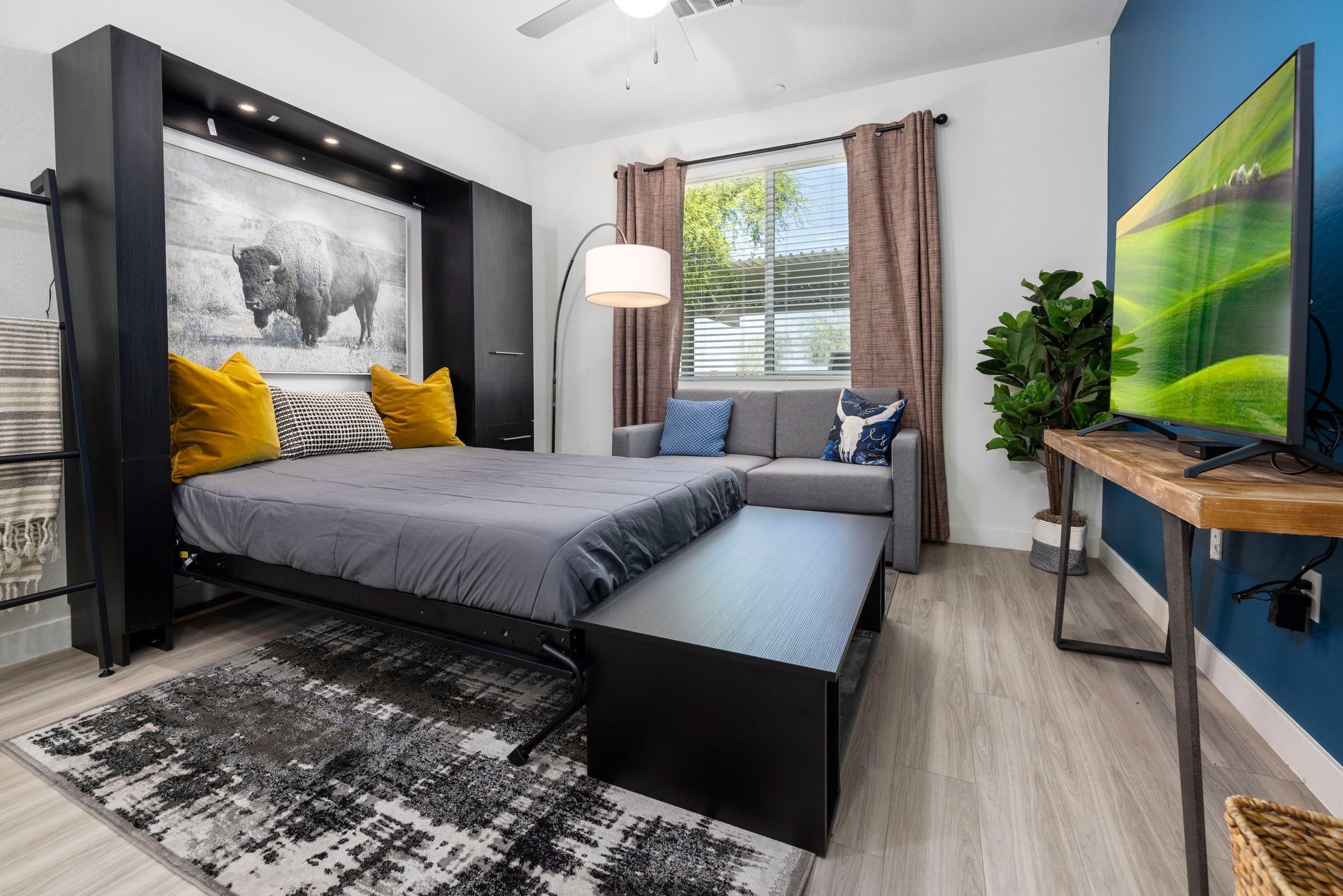 Studio apartment with Murphy bed, sofa, TV, and dark accent wall.
