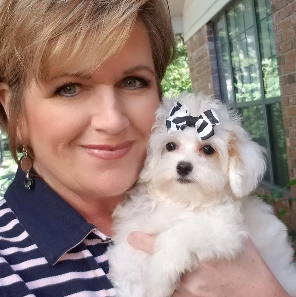 Petit Jean Puppies Goldendoodles, Cavapoos & Cavapoochons