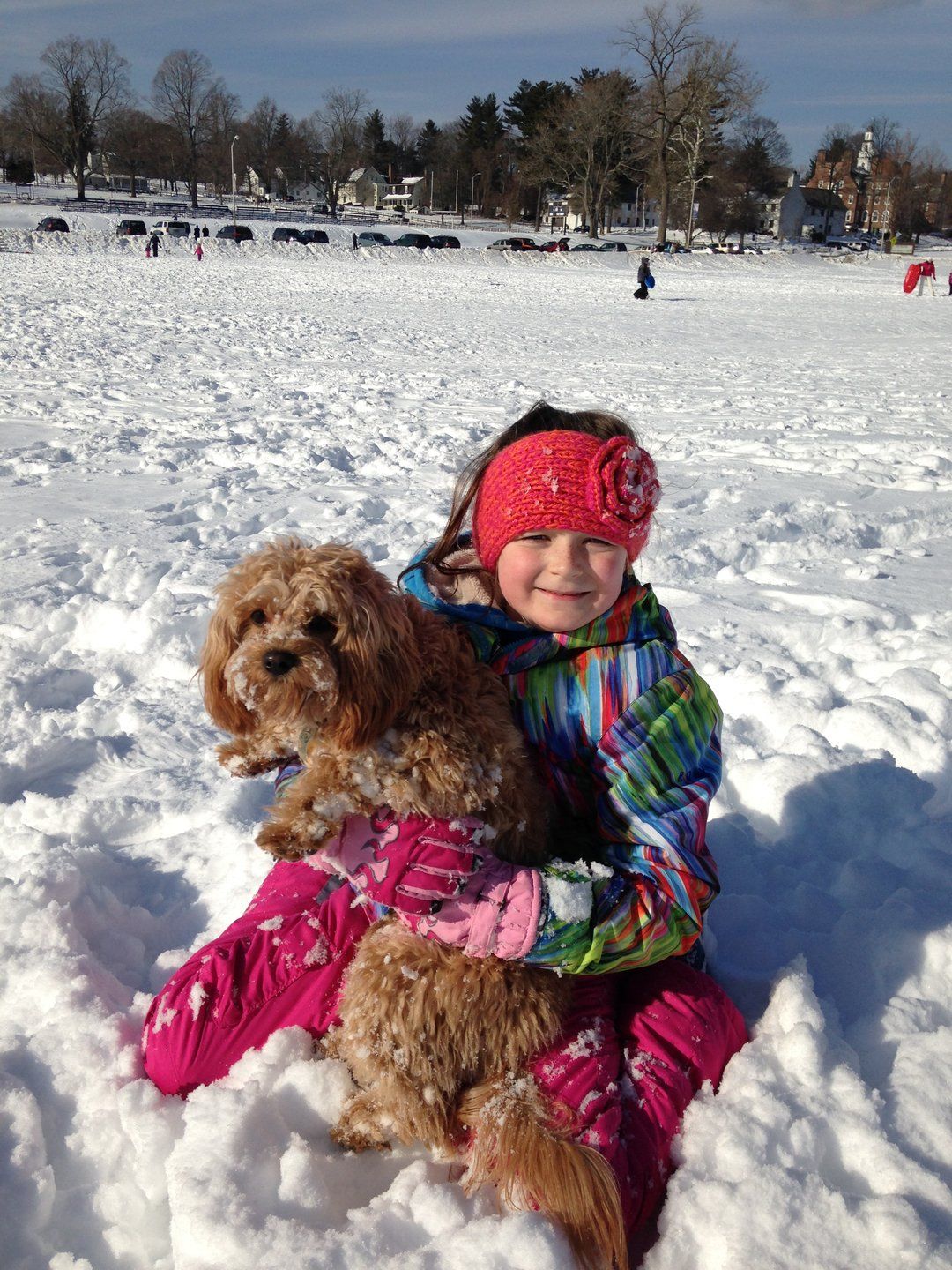 A little girl is sitting in the snow holding a dog.