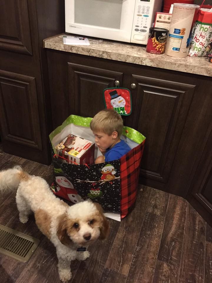 A dog is standing next to a boy in a christmas bag.