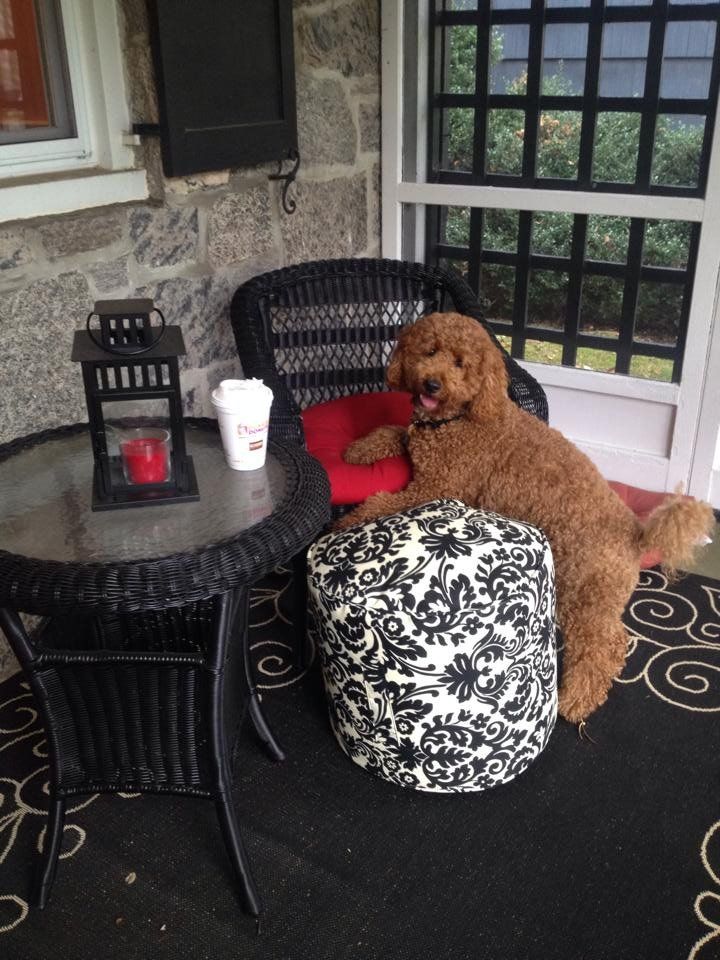 A dog is laying on a black and white ottoman on a porch