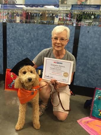 A woman is kneeling next to a dog wearing a graduation cap and holding a certificate.