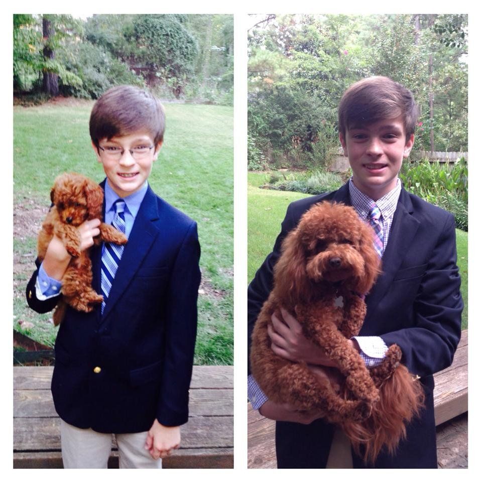 Two pictures of a boy in a suit holding a puppy