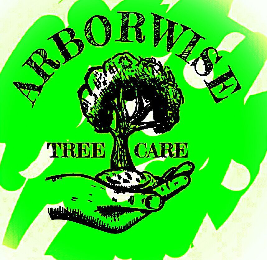 Arborwise Tree Care | Tree Service in Farmersville, TX