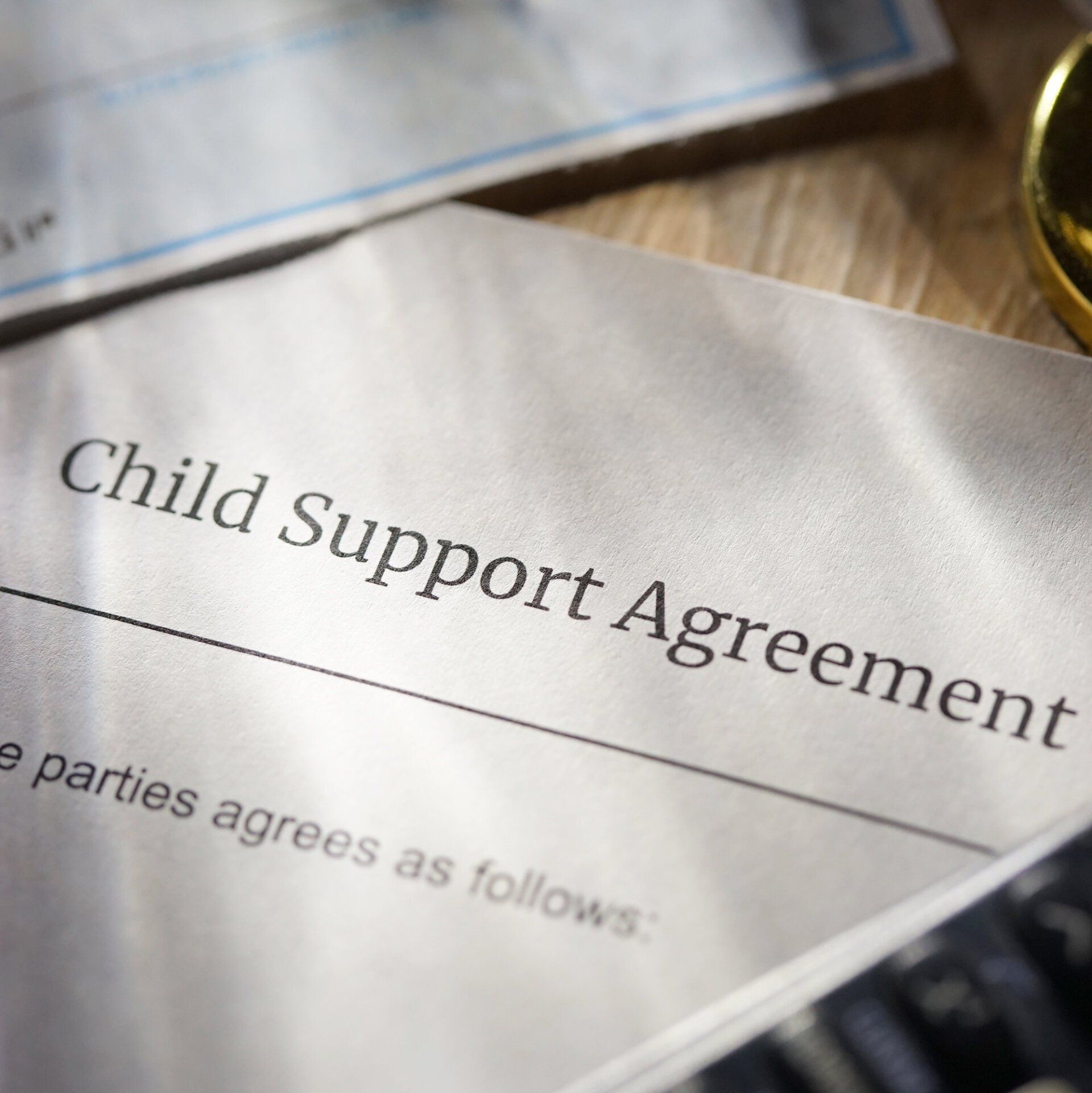 Family Lawyer Hamilton